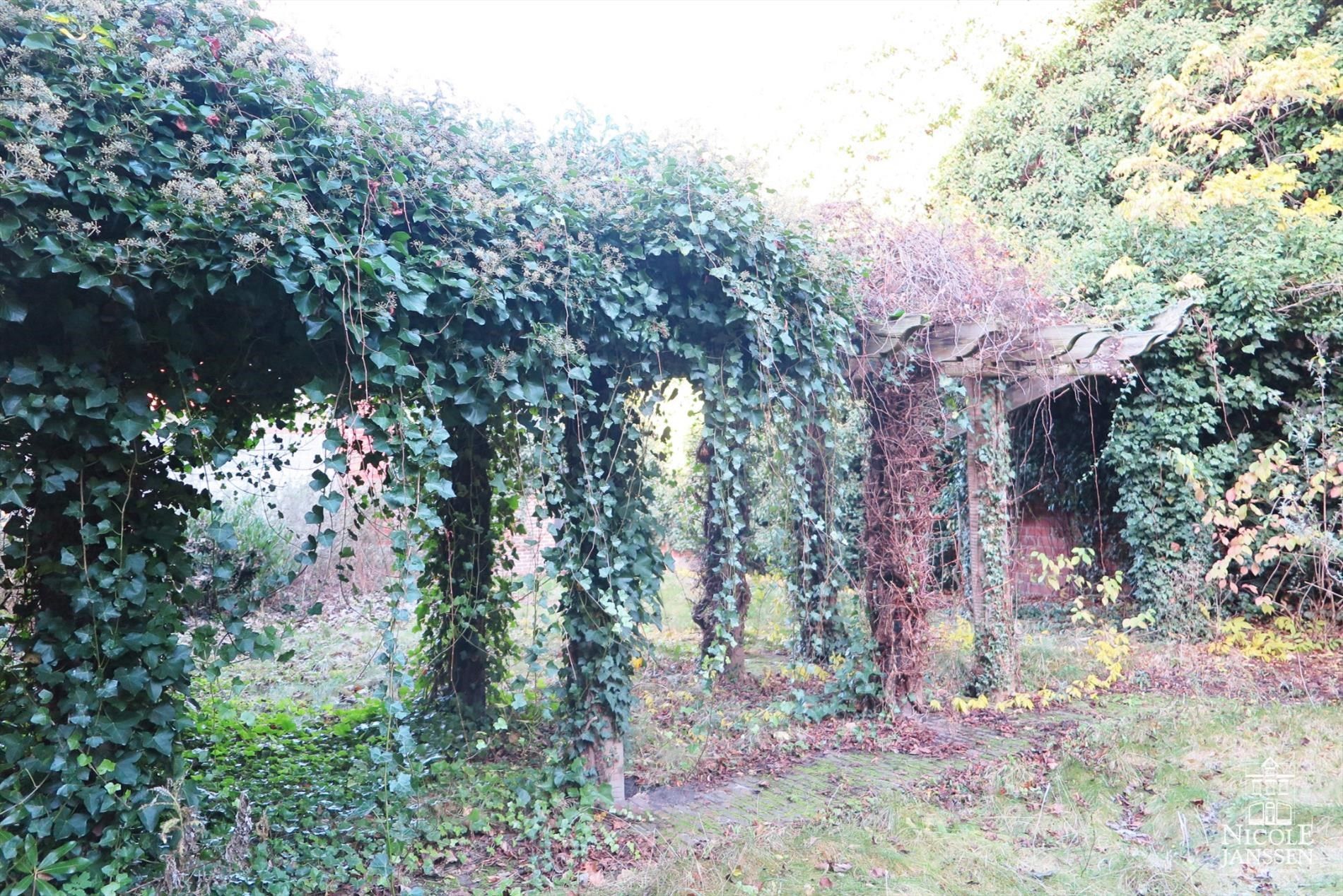 Gerenoveerde, authentieke stadsboerderij met tuin in het hartje van Maaseik foto 31