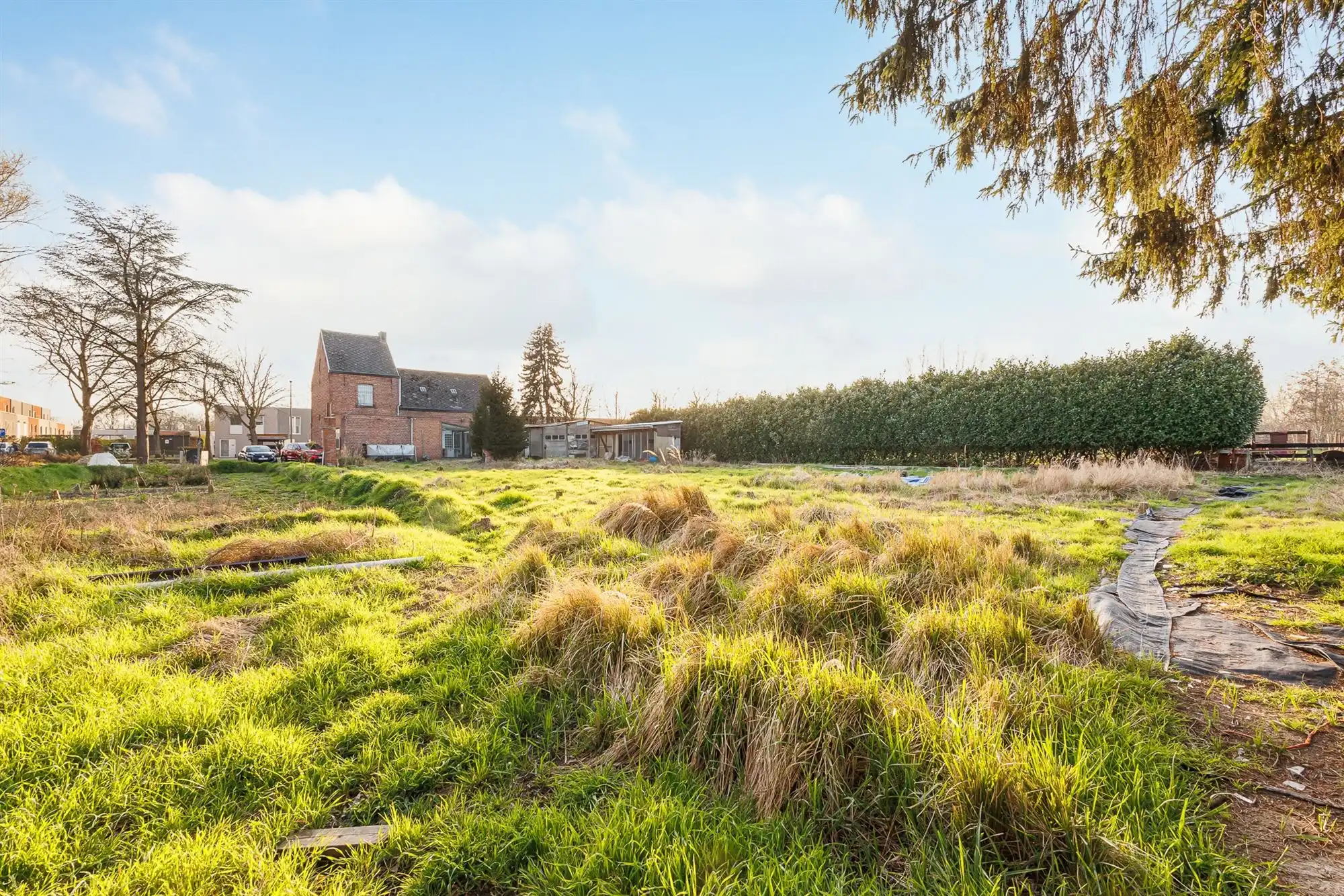 Te renoveren woning op perceel van 1506m² op TOPlocatie foto 24