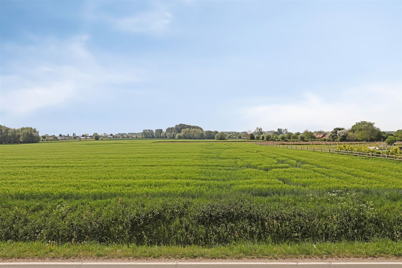 Verder te renoveren woning met grote tuin!  foto 9