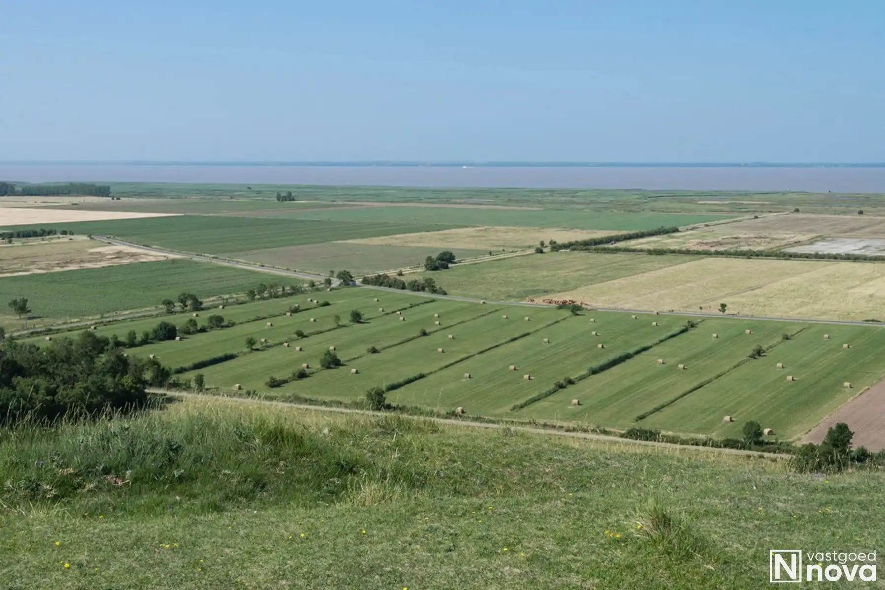 Leven als god in de Franse natuur. foto 40