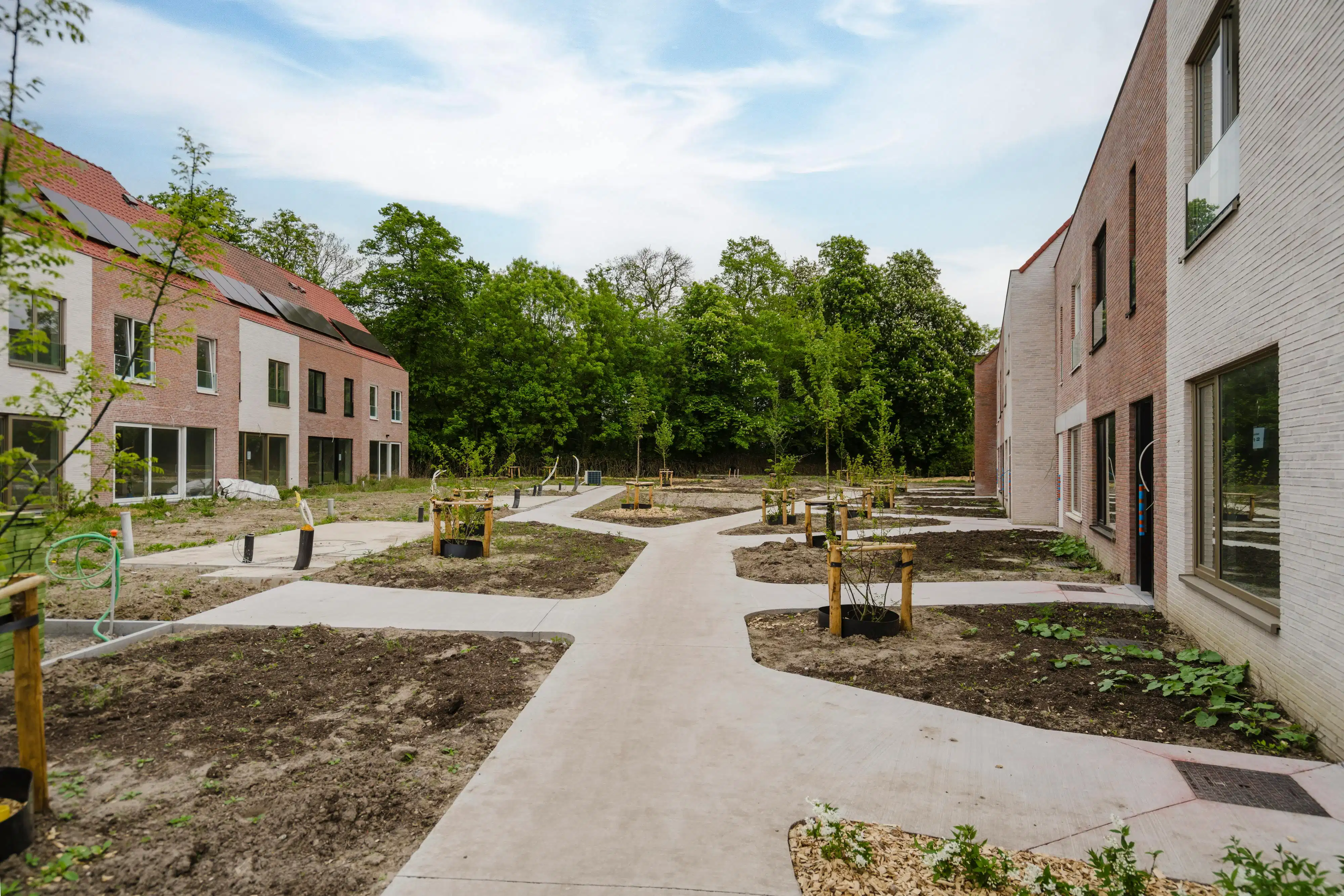 Nieuwbouwwoning met 3 slaapkamers te koop in Sluis 9 foto 3