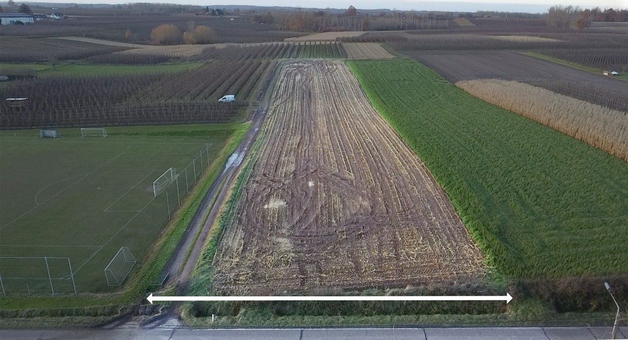 Goed gelegen landbouwperceel te Borgloon. foto {{pictureIndex}}