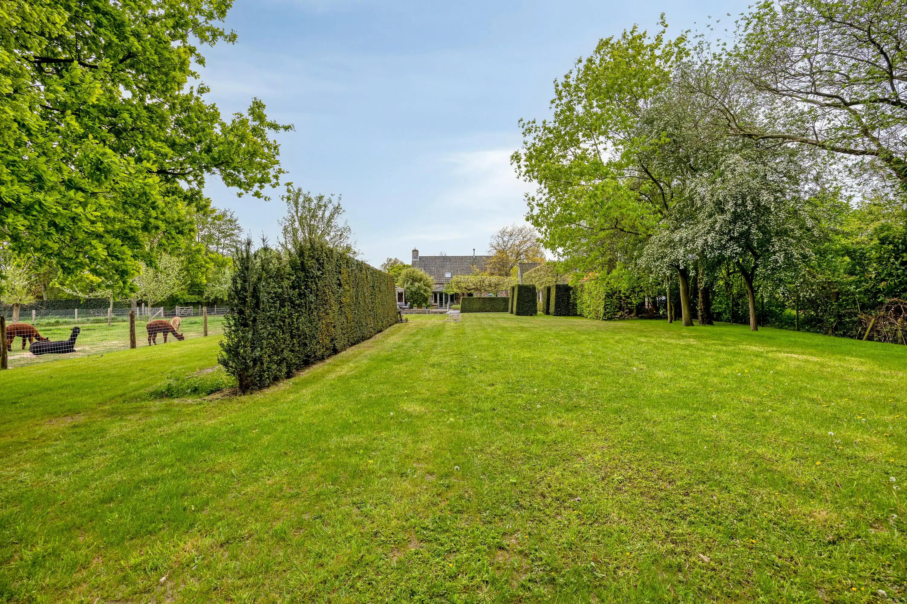 Vrijstaand huis met bijgebouw op perceel van 4012m² te Moerkerke foto 9