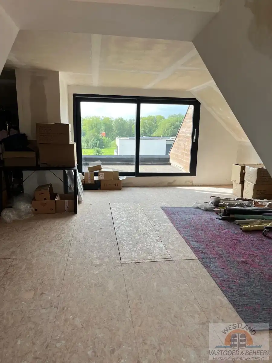 Statig handelspand met 2 mogelijke woonentiteiten, 5 parkeerplaatsen en grote garage foto 23
