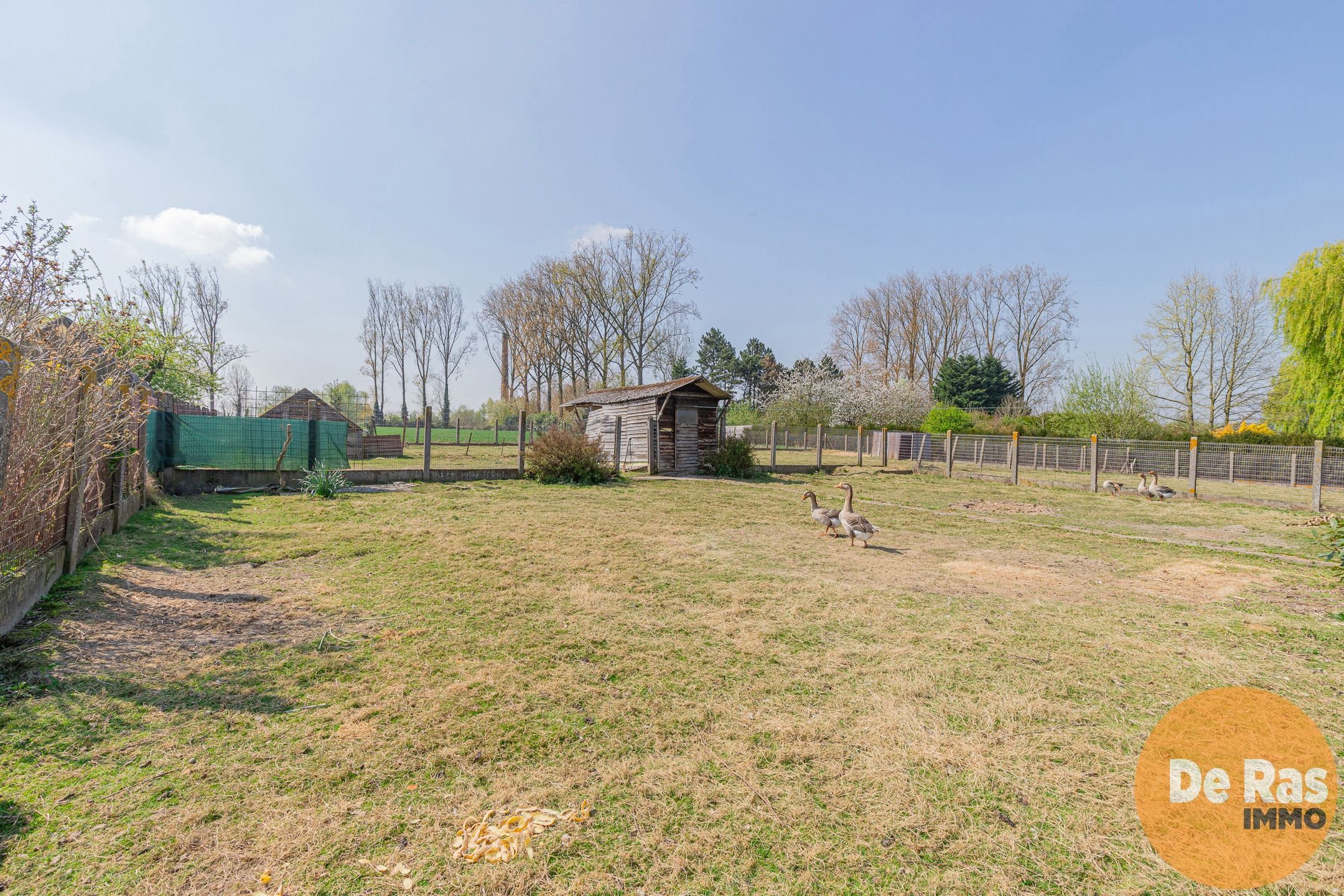 BURST – Solide bungalow met 3 slpks in landelijke omgeving foto 28