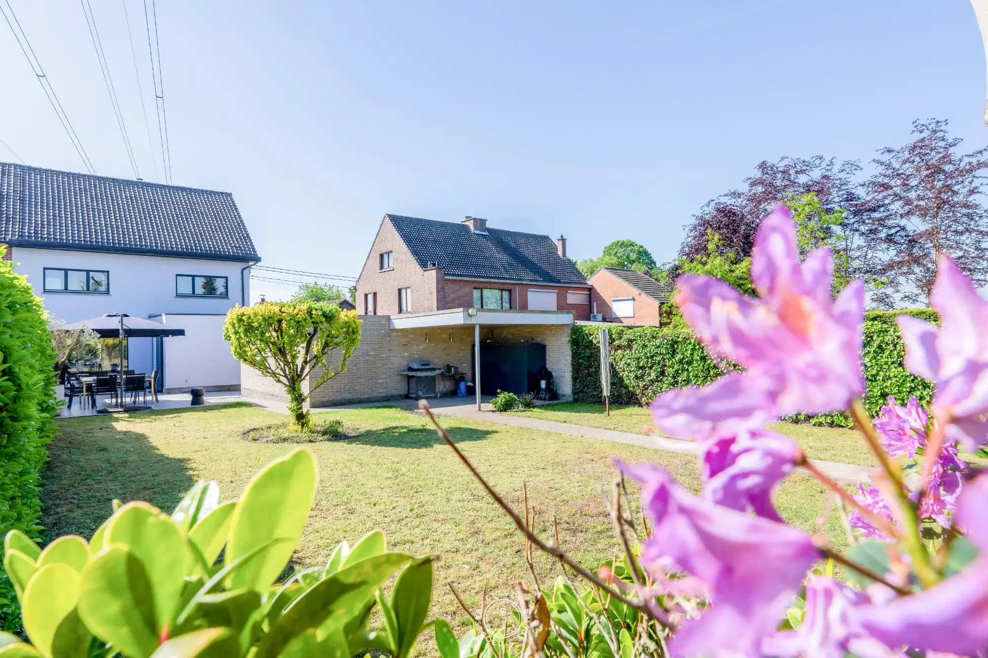 Ruime halfopen bebouwing met weiland op 6029 m² foto 10