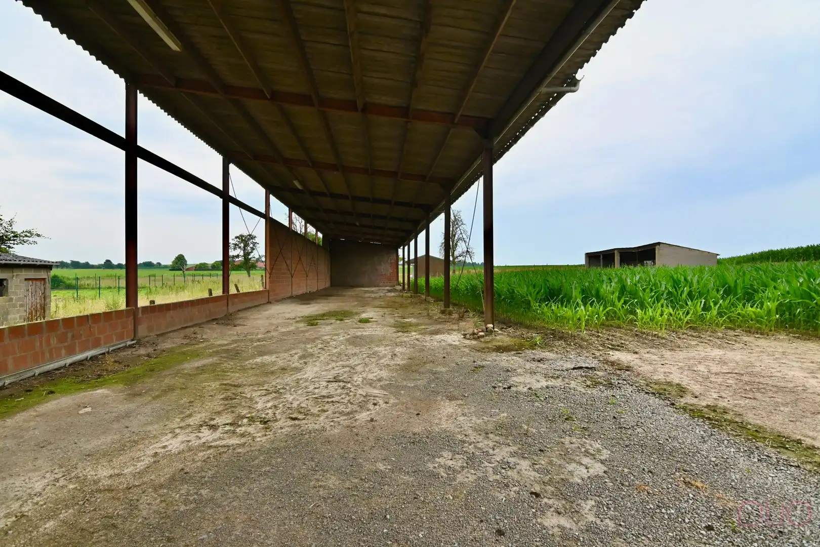 Hoevewoning op een perceel van 69a20ca met een veestal van 391m2 en een open schuur van 355m2 foto 9