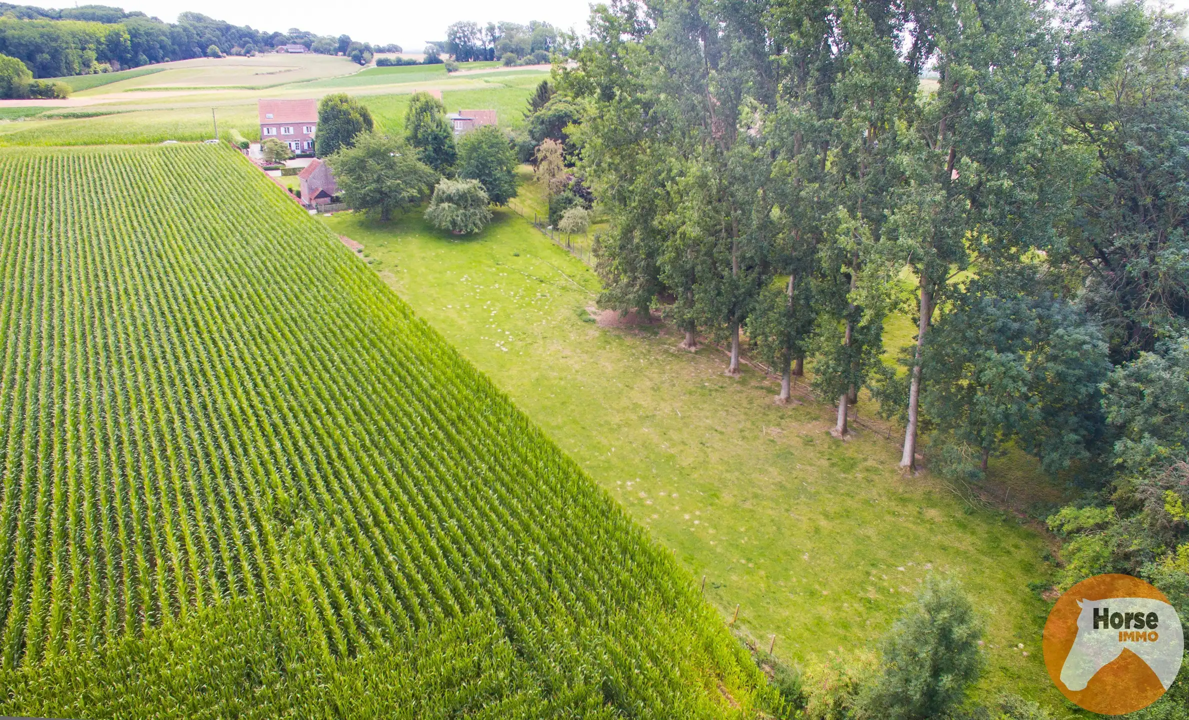 GOOIK - Luxueus afgewerkte hoeve met bijgebouw en weide foto 30