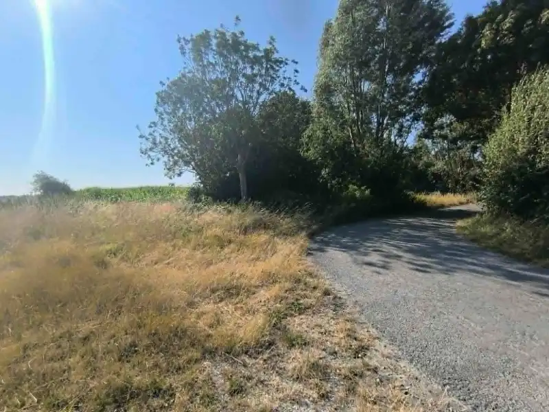 Landbouwgrond foto 4