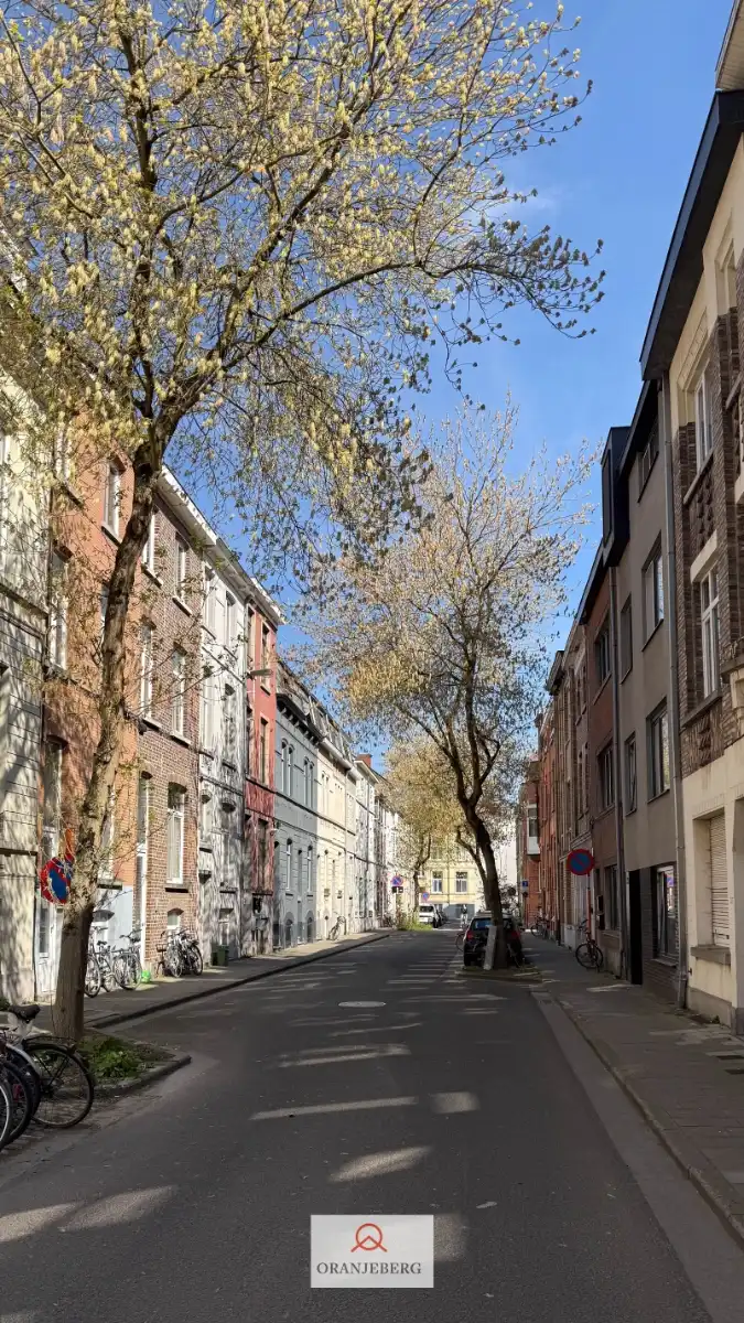 Gerenoveerde studentenkamer nabij Gent-centrum foto 6