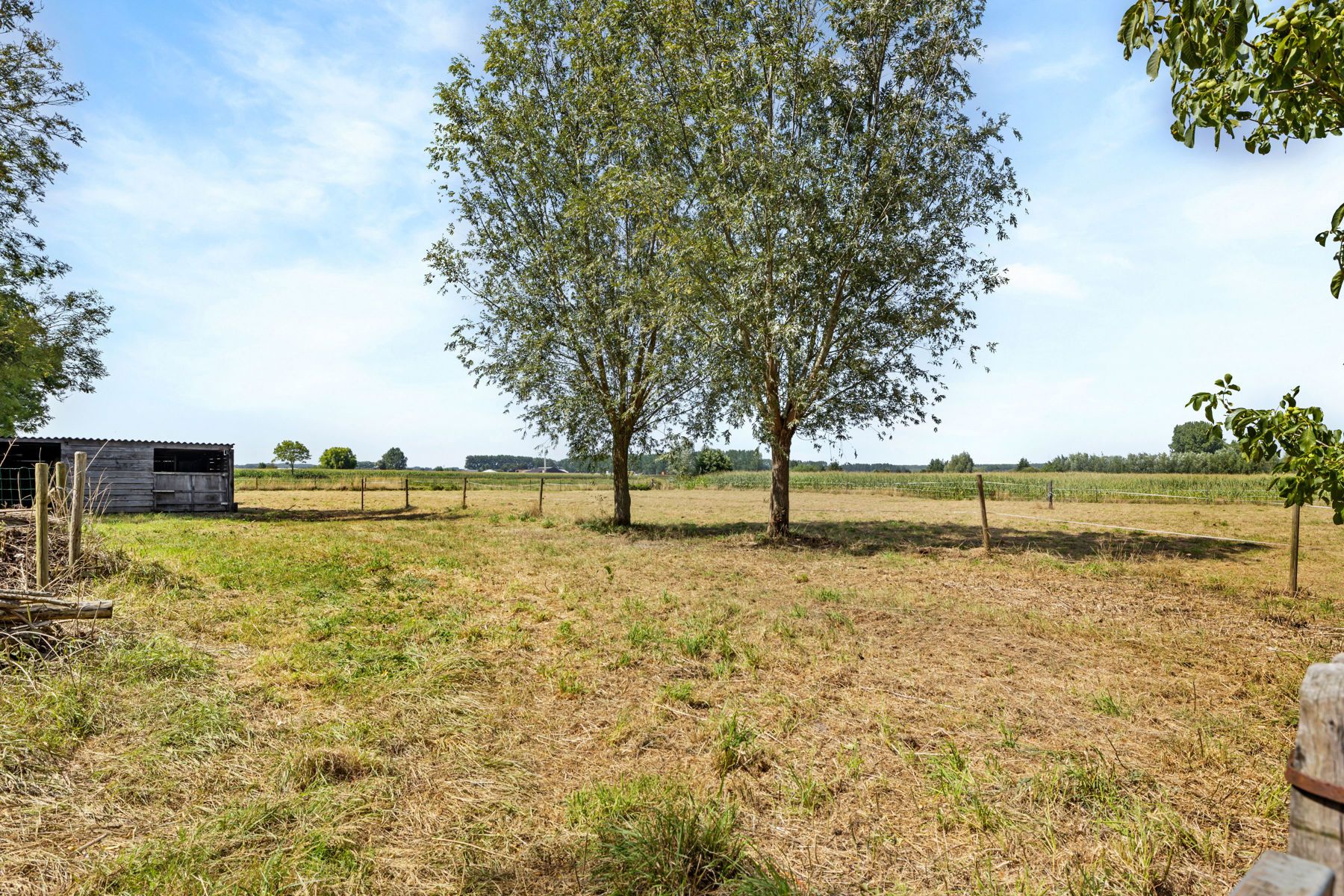 Te koop: weidegrond met stal nabij de Vakebuurtstraat foto 7