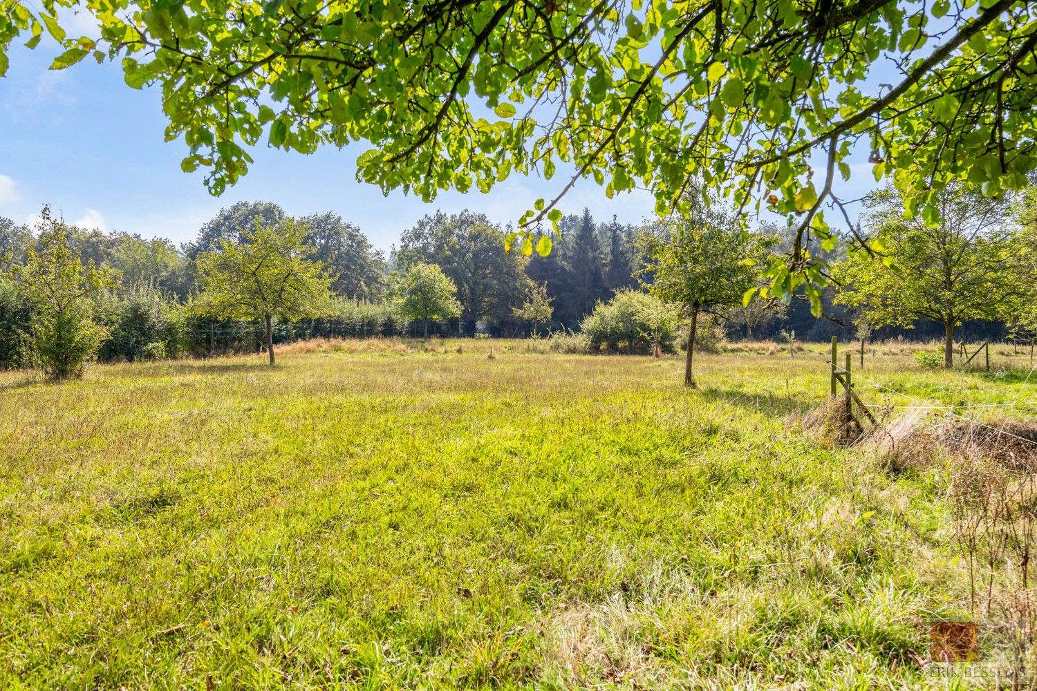 Bijzonder landhuis op bijzondere locatie grenzend aan Kattevennen en in de directe omgeving van Genk-Centrum foto 2