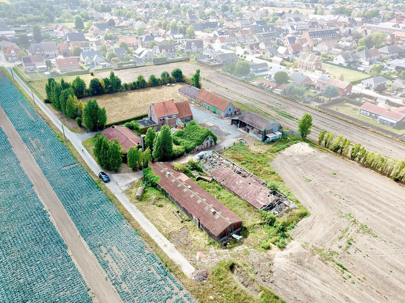 Te renoveren hoeve op crica 1 ha op GOEIE ligging! foto 5