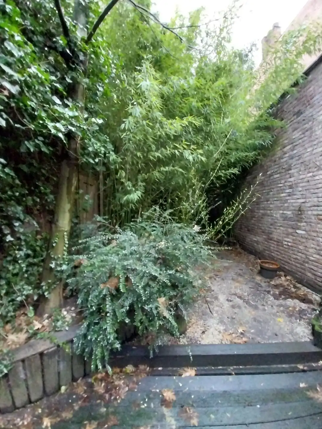 Handelspand te huur in het hippe Ridderstraatje – hartje Hasselt foto 6