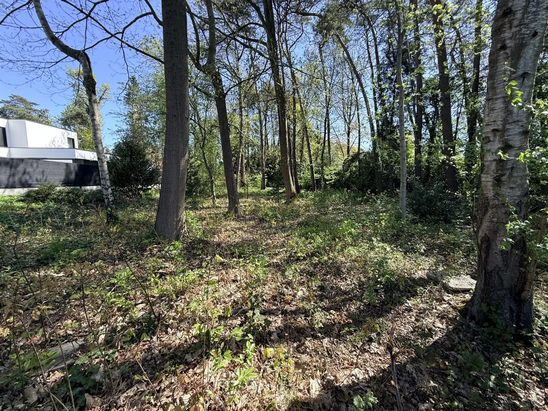 Rustig gelegen bouwgrond van 1.182 m² op een groene ligging! foto 4