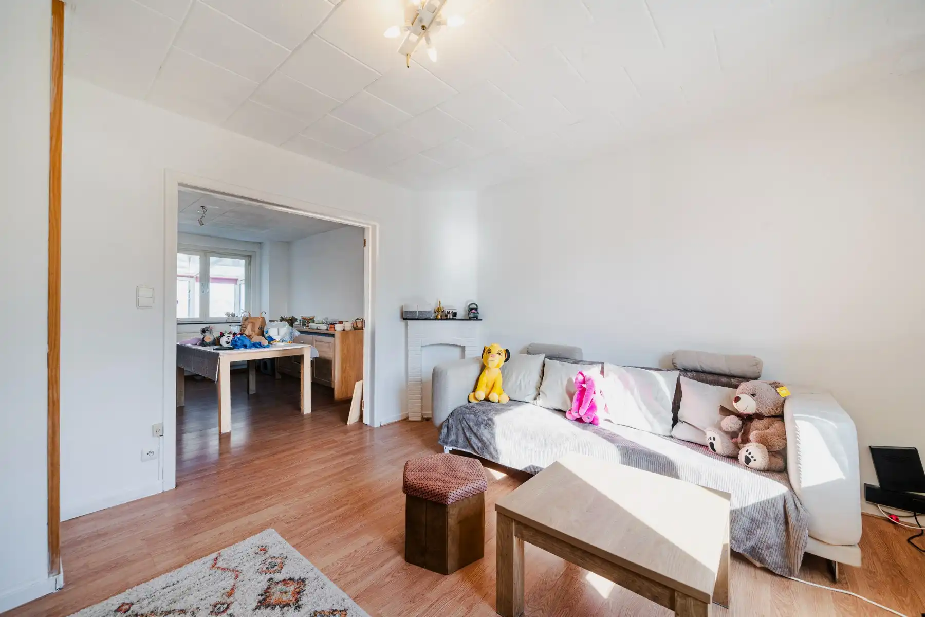 Grote woning met appartement mogelijk als opbrengsteigendom foto 26