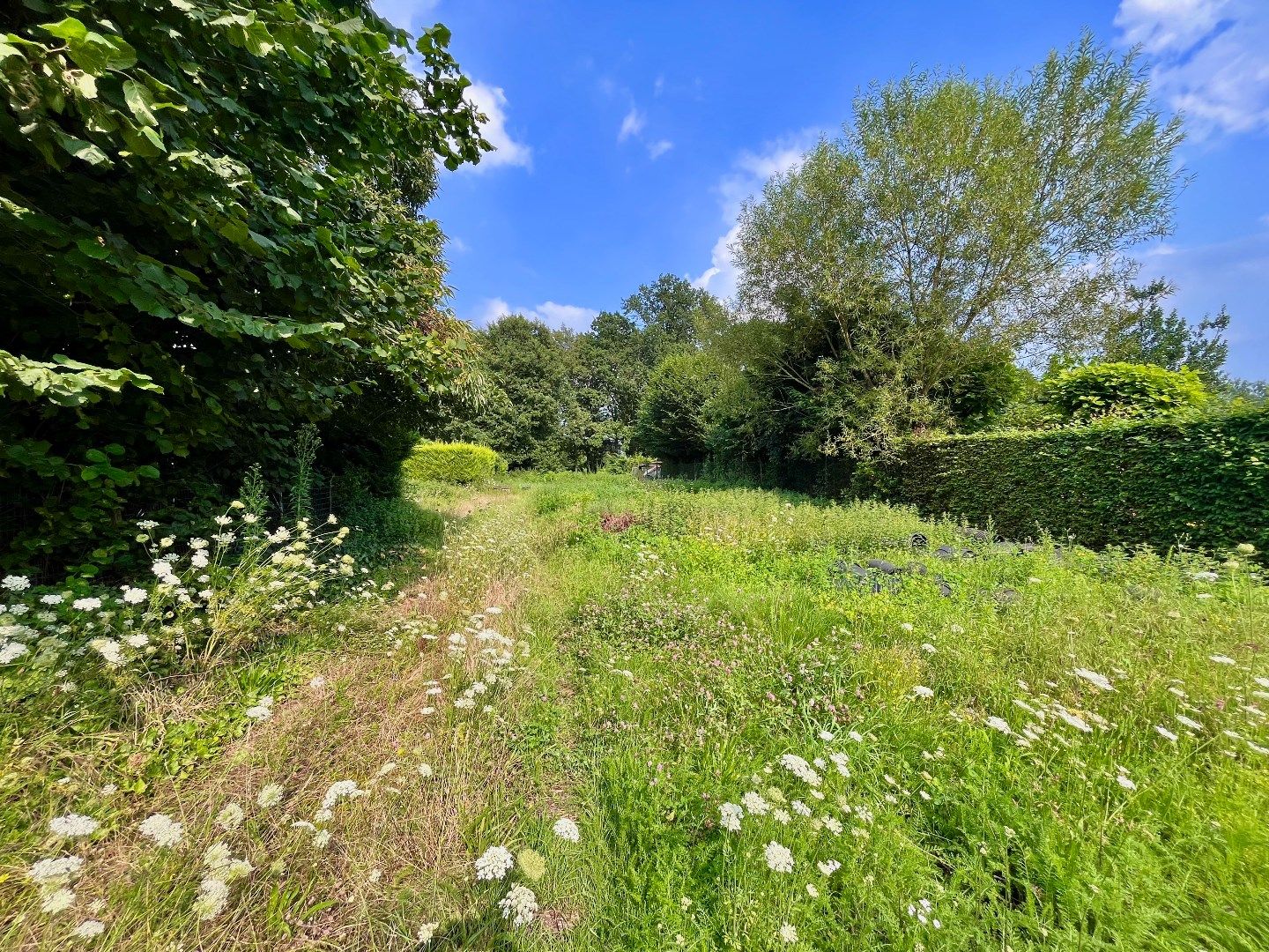 Centraal gelegen bouwgrond (HOB), Zuidgerichte tuin, 12a foto 8