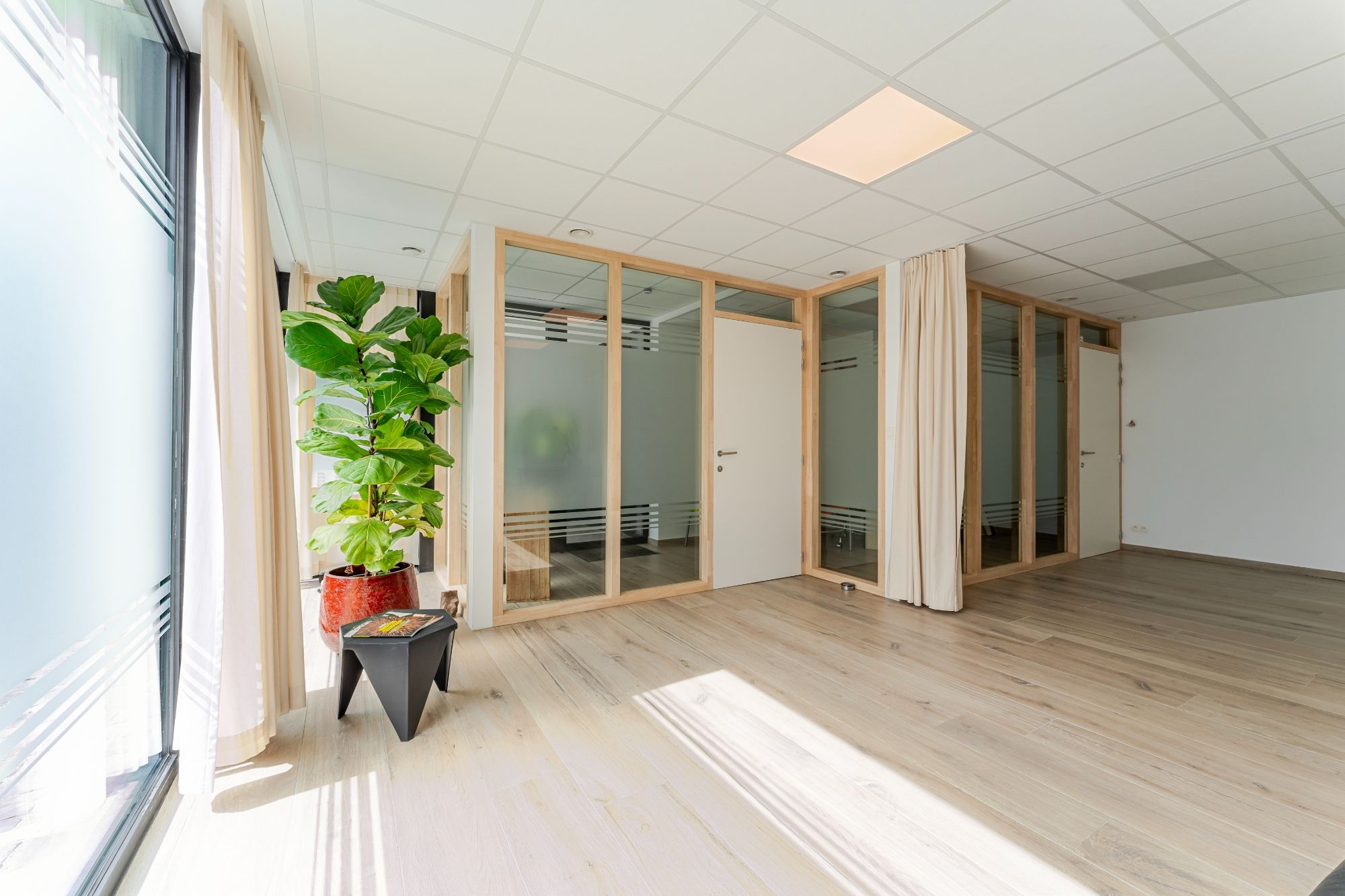 Groot (140m²) gelijkvloers appartement met praktijkruimte, 2 (mog. 3) slaapkamers en ruim terras/koer foto 5