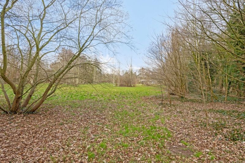 TE KOOP – Uniek stuk bouwgrond in de bossen van Lembeke – >15.000 m² foto 7