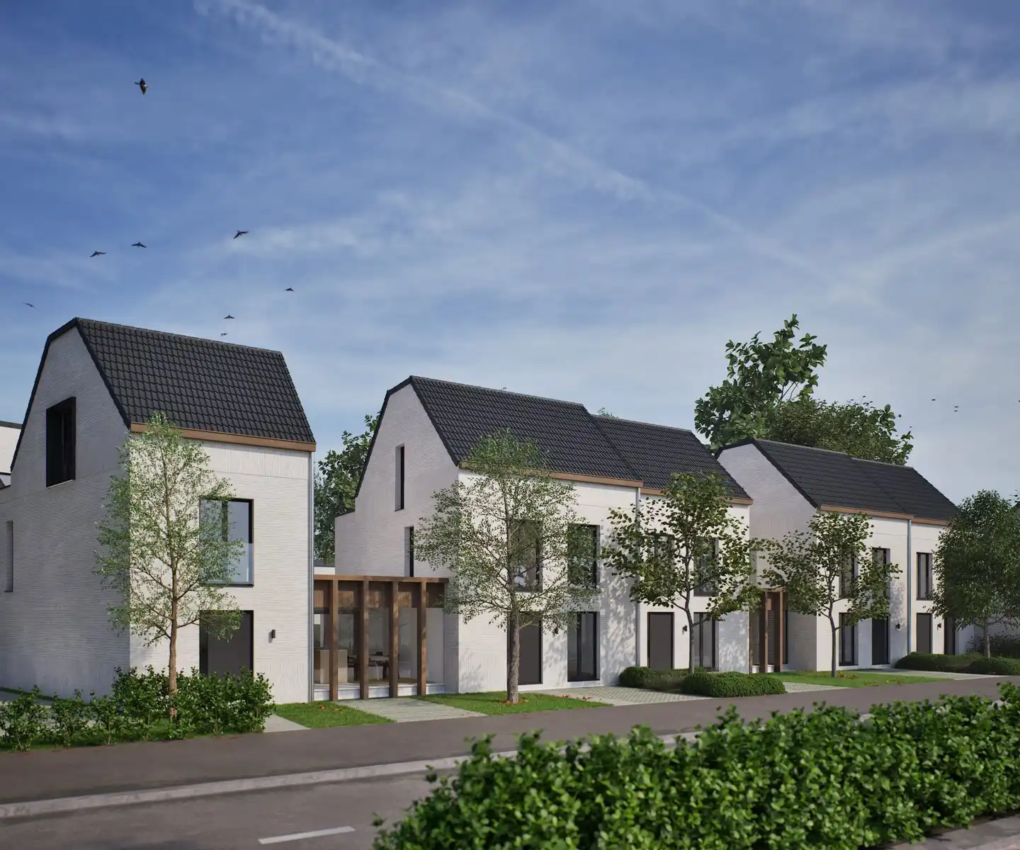 'S GRAEVENHOF - 12 nieuwbouwwoningen met autostaanplaatsen foto 2