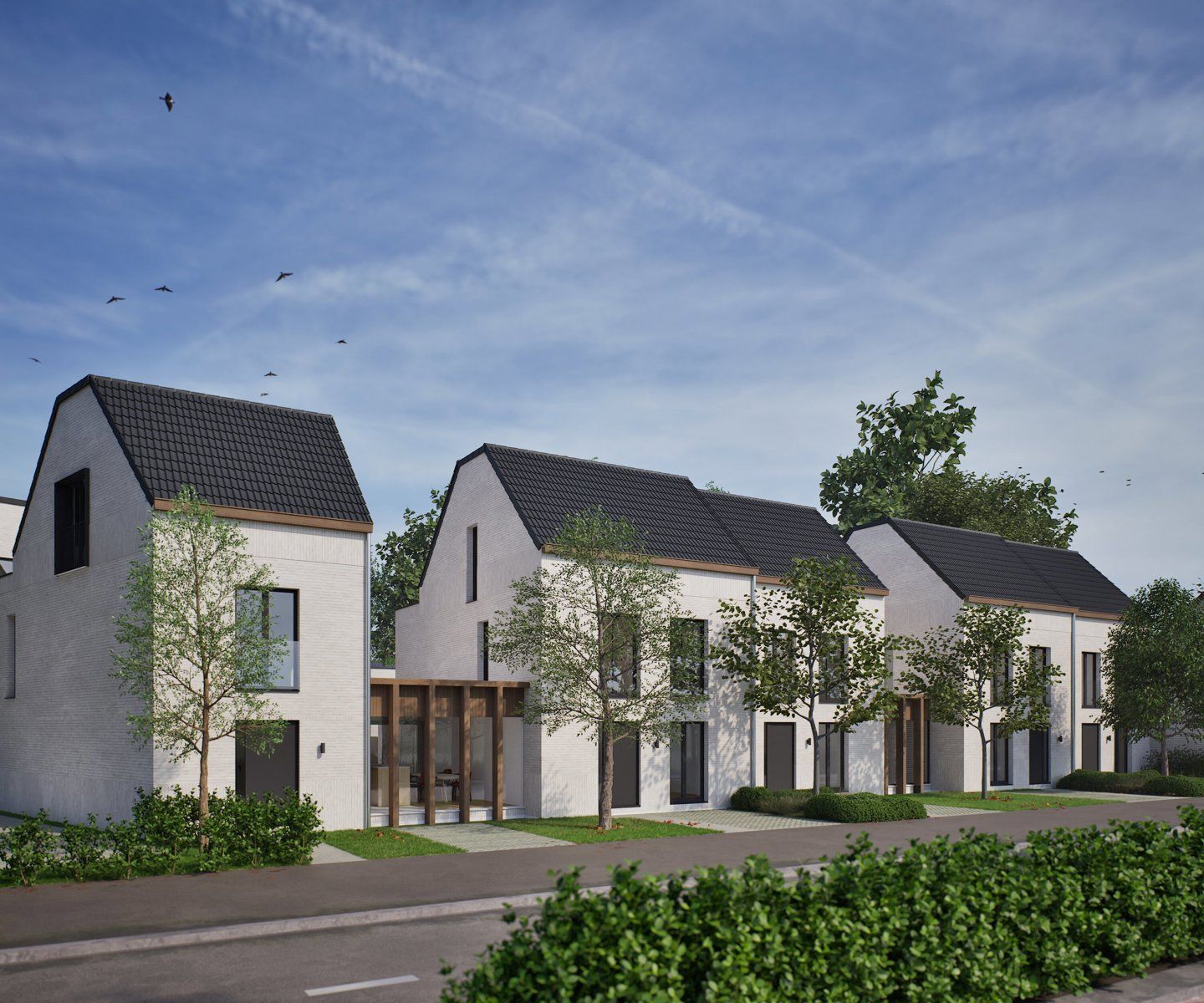 'S GRAEVENHOF - 12 nieuwbouwwoningen met autostaanplaatsen foto 2