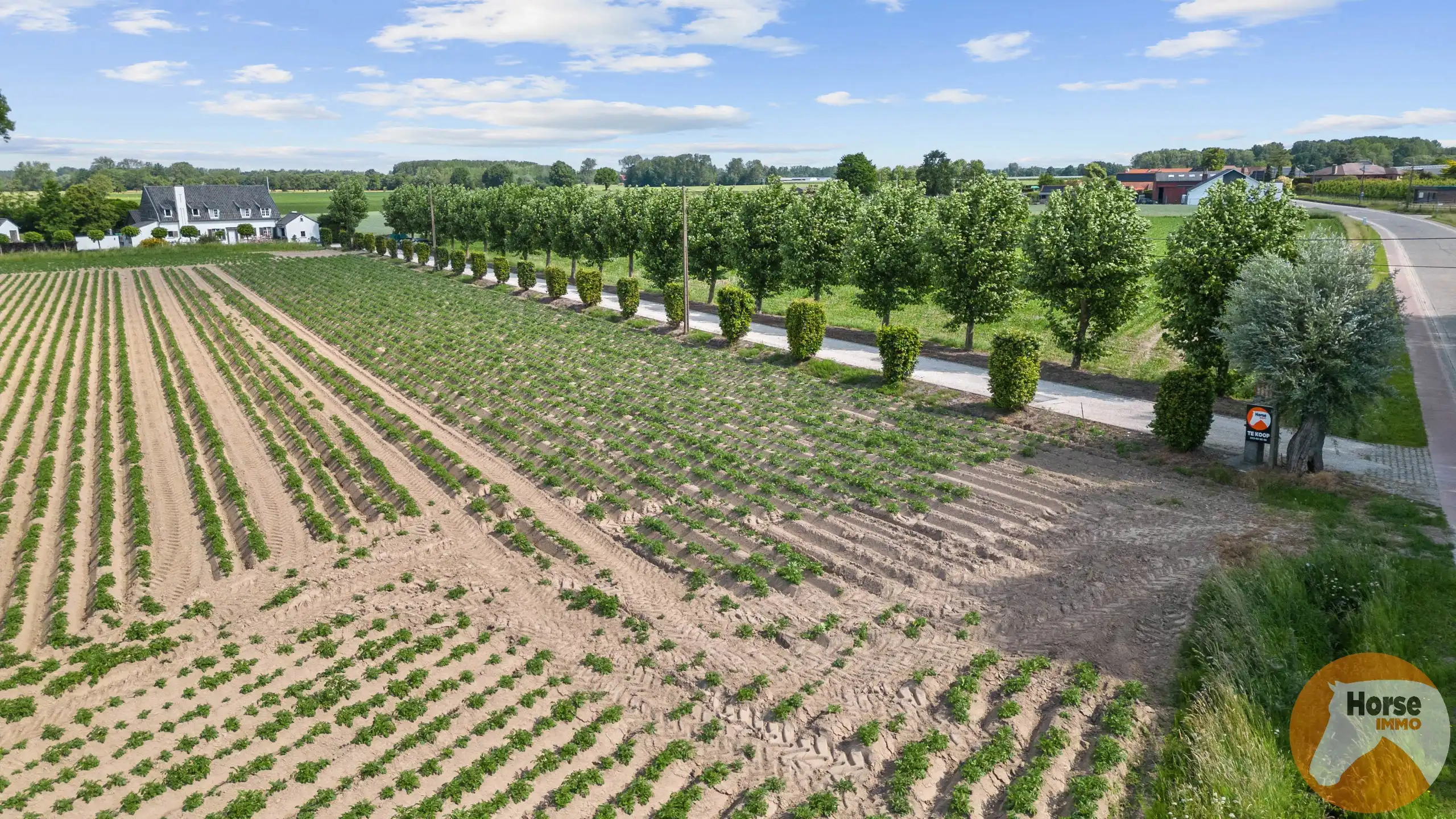 RUMMEN - Charmant landhuis op idyllische locatie op 1ha54 foto 41