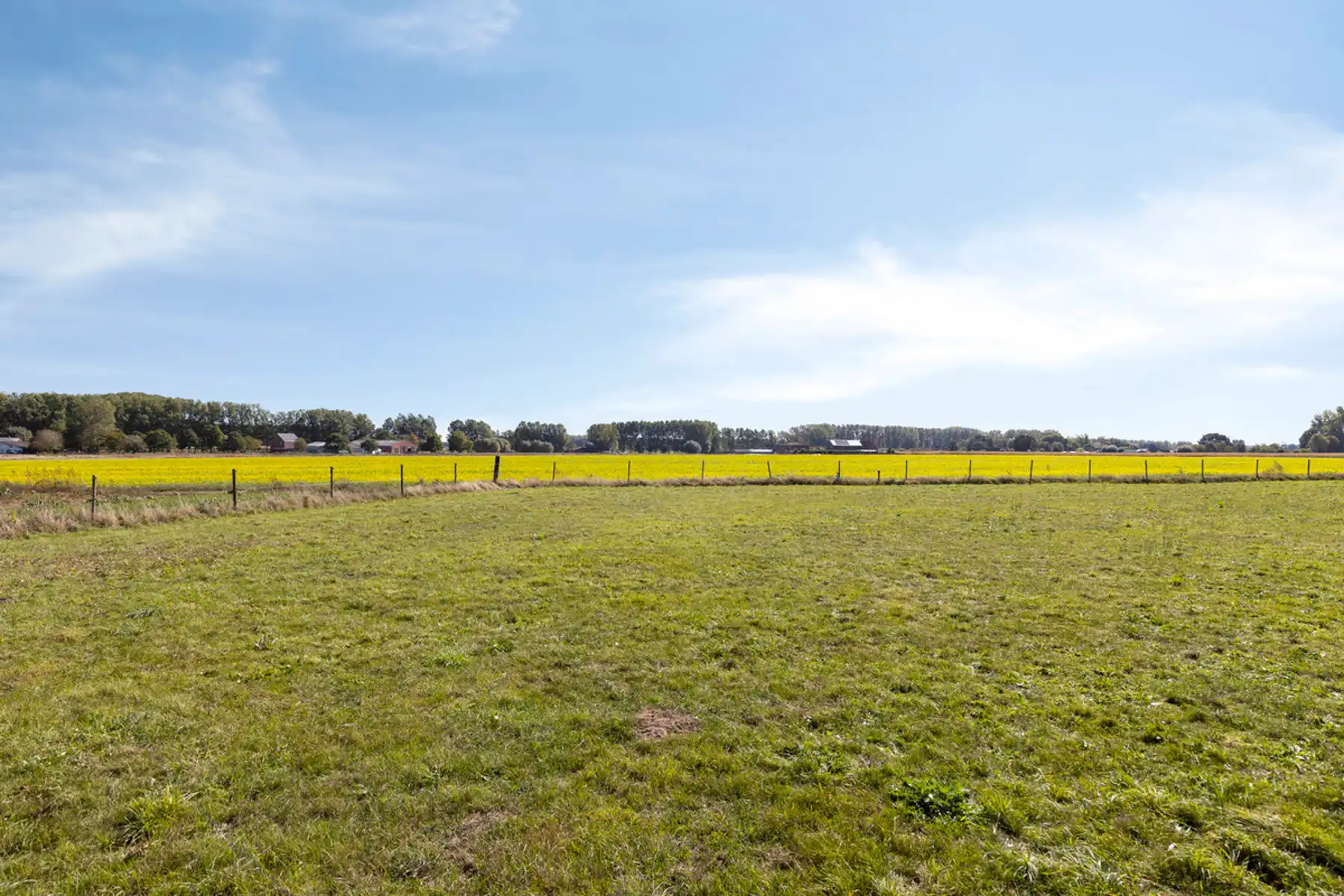 Uniek gelegen hoeve met weiland op ca. 81,5 are in Malderen foto 5