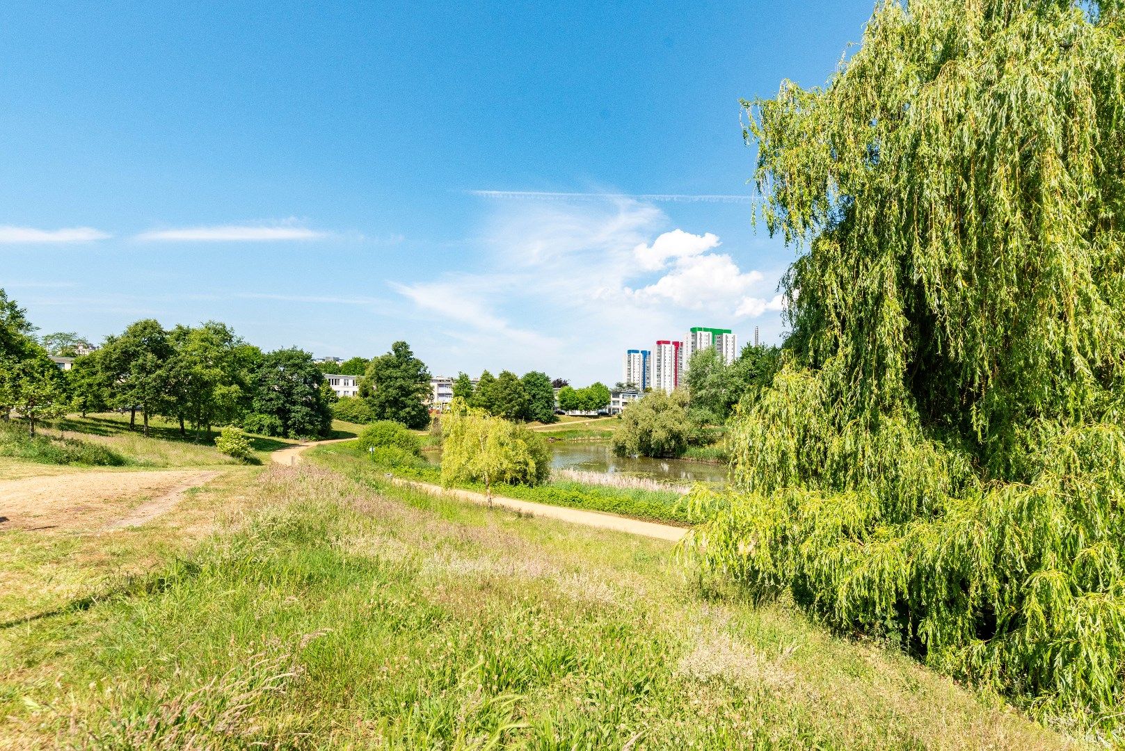 Appartement met uitzicht op 38 kleurrijke papegaaien! foto 18
