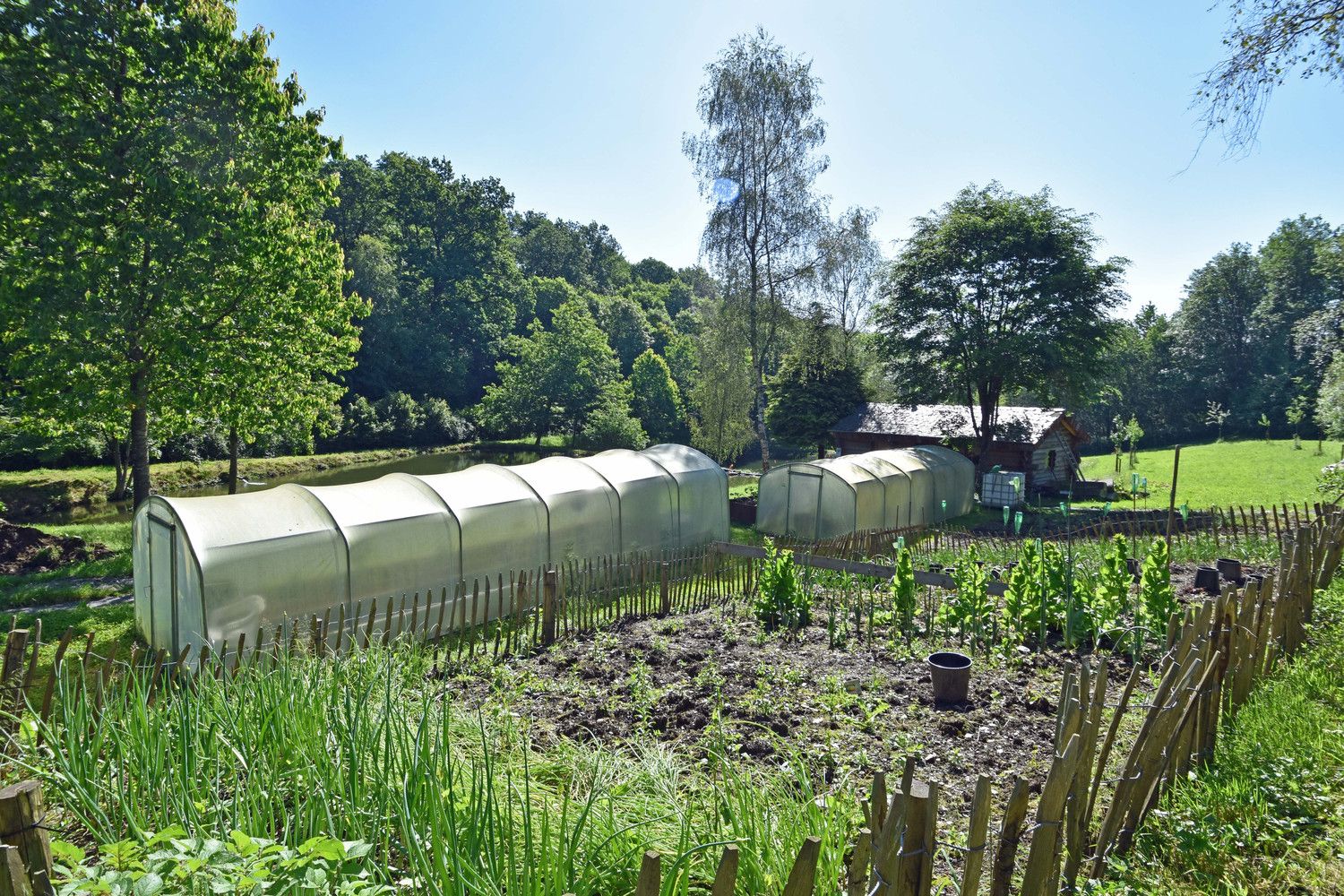 Ydillisch gelegen visvijer met 3 grote waterpartijen in de regio van Vresse-Sur-Semois! foto 8