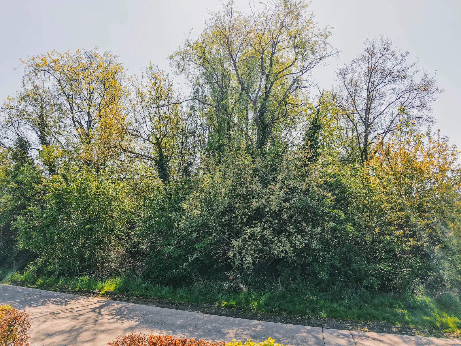 Prachtige bouwgrond voor open bebouwing in doodlopende straat foto 4