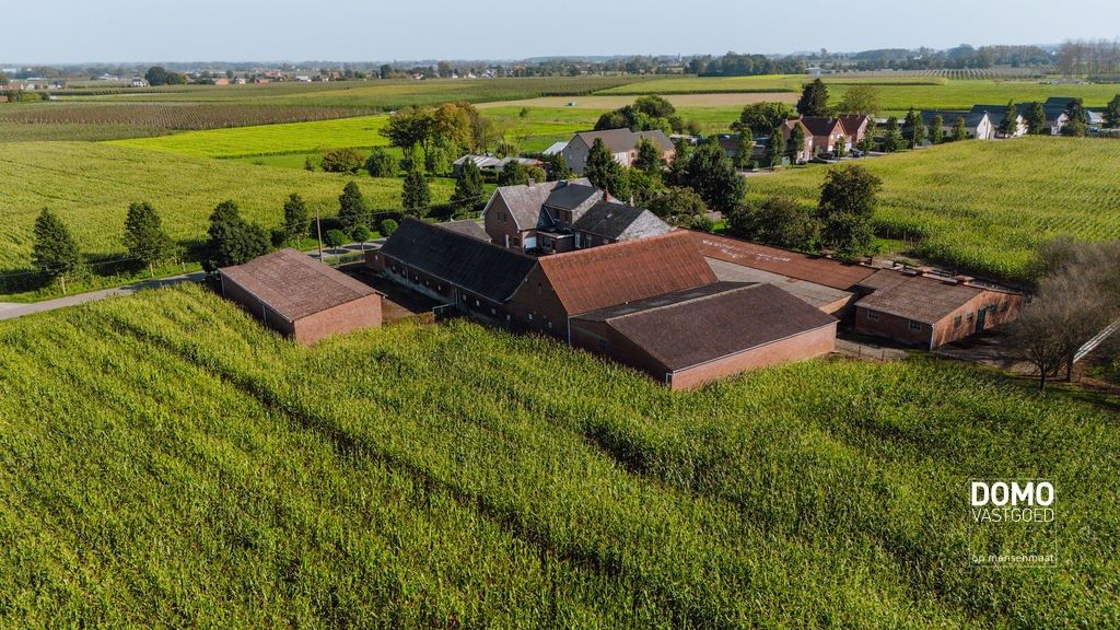 UNIEKE BOERDERIJ TE HERK-DE-STAD OP 2HA 60A 86CA TE KOOP foto 3