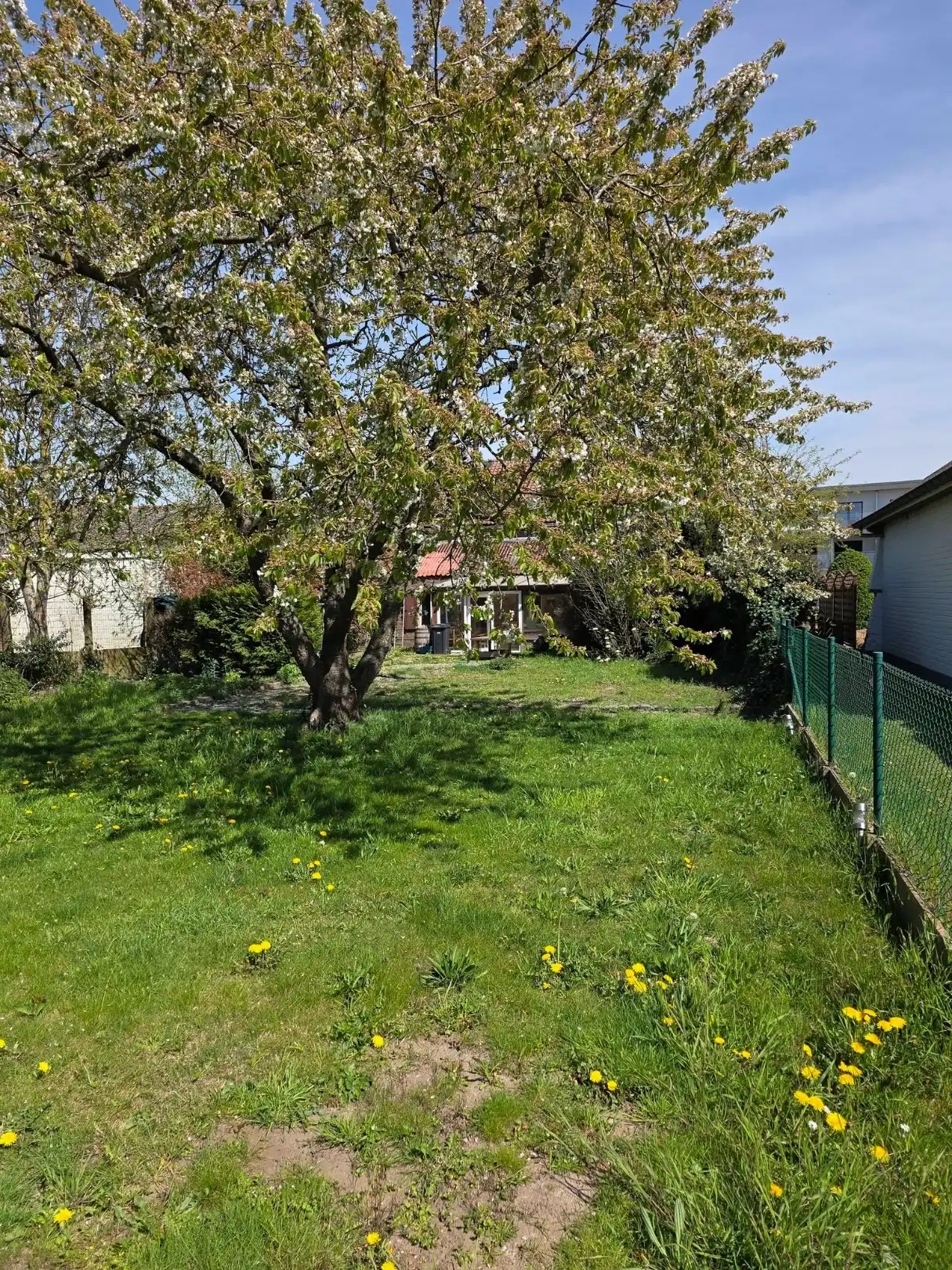 Renovatieproject...en wat voor eentje... foto 33