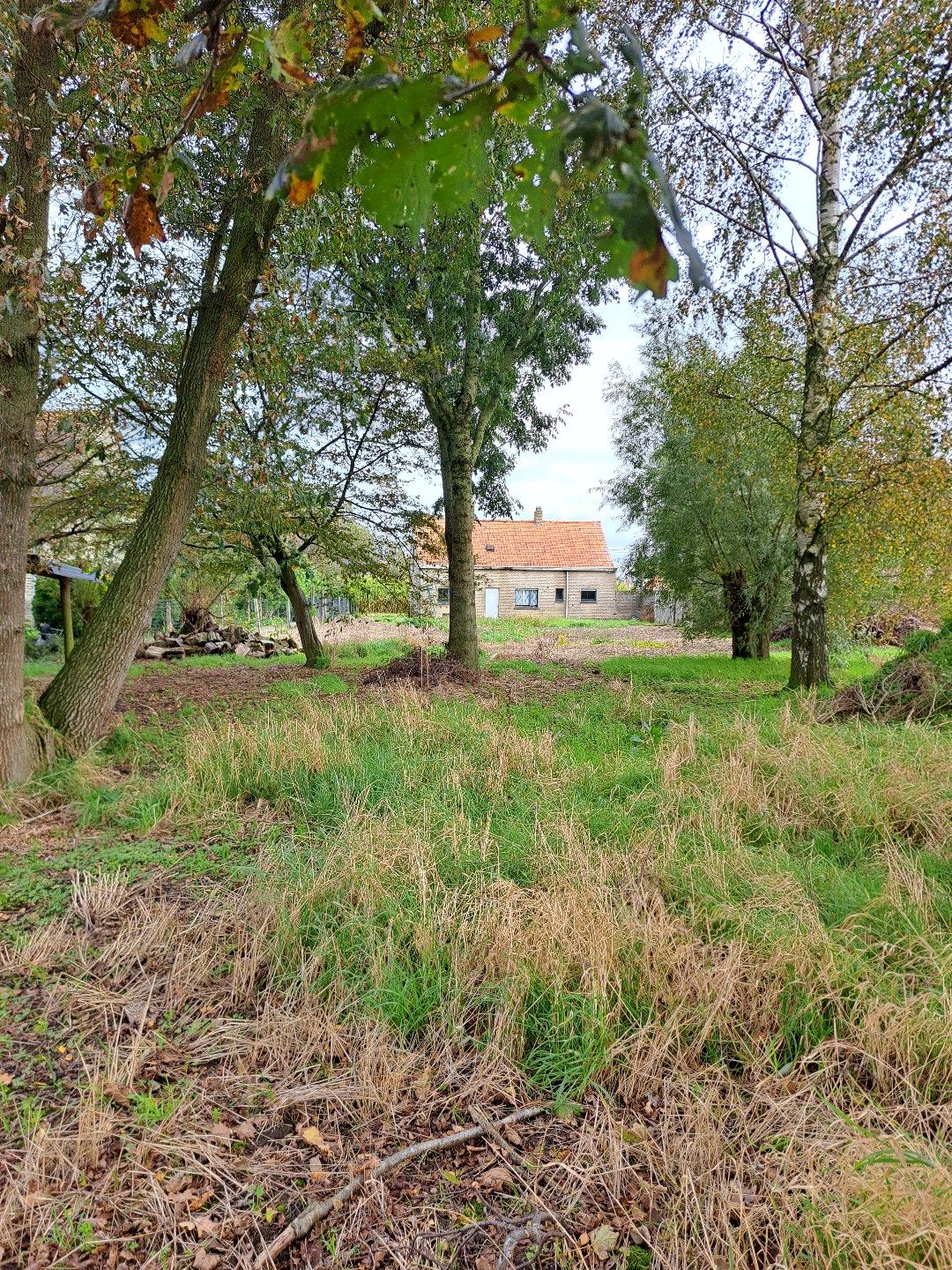 Alleenstaande woning met 4 slaapkamers te Kortemark foto 5
