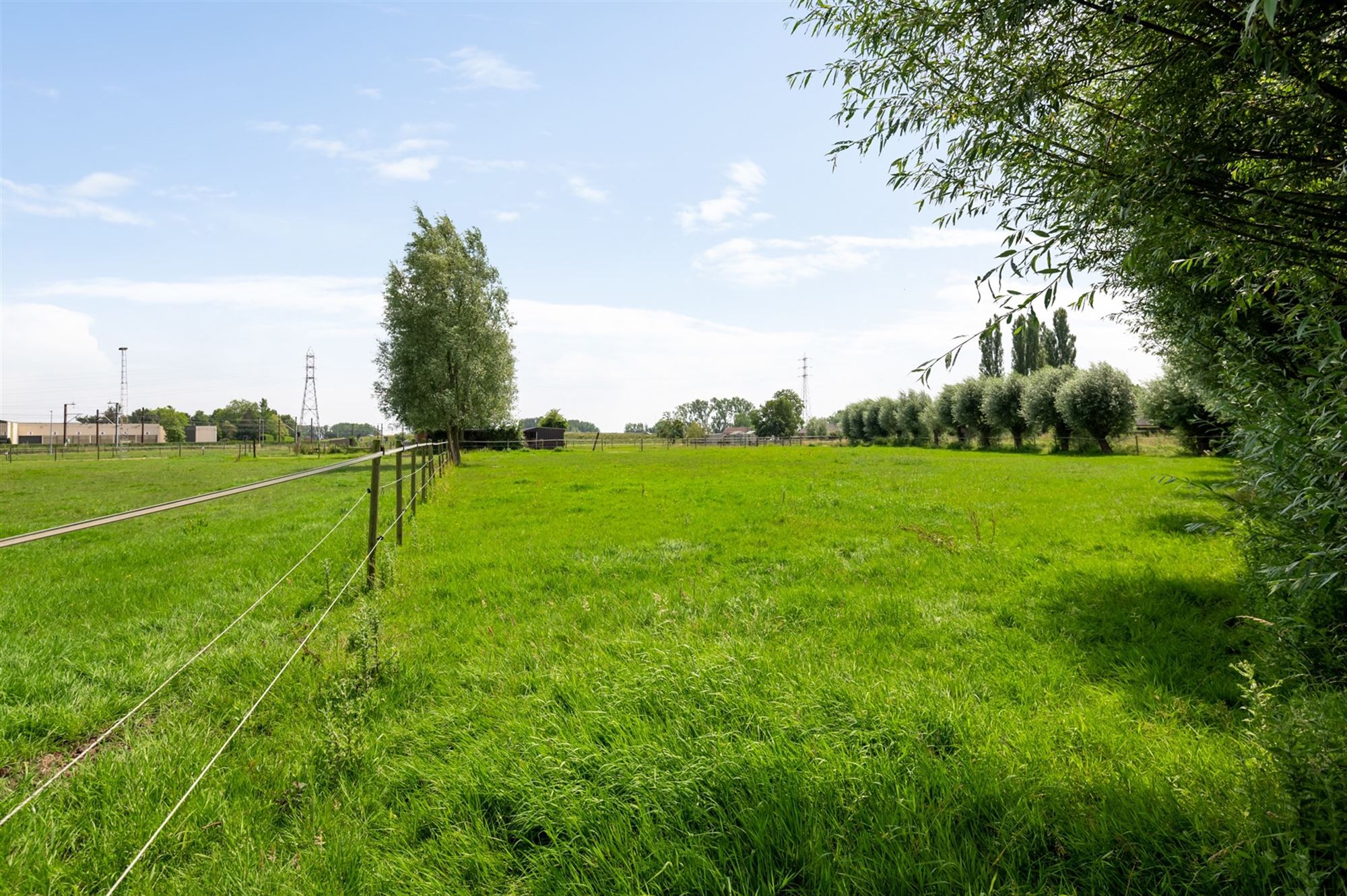 Prachtige paardenweide met stallen en piste foto 25