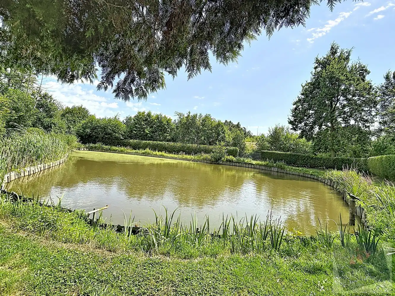 Visvijver op prachtig perceel van 16a10ca in het groene Stokrooie (Bortelsheide) foto 3