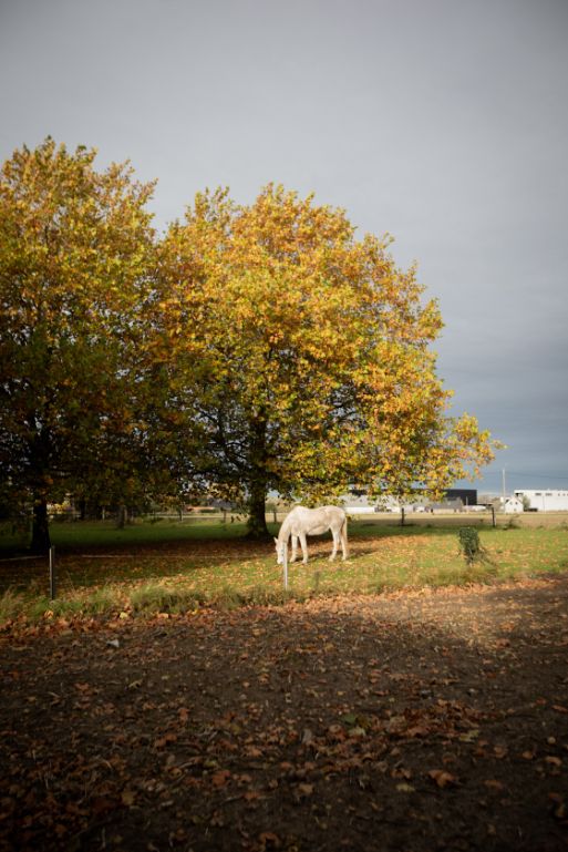 Uitzonderlijk mooi gelegen stuk bouwgrond voor alleenstaande bebouwing foto 3
