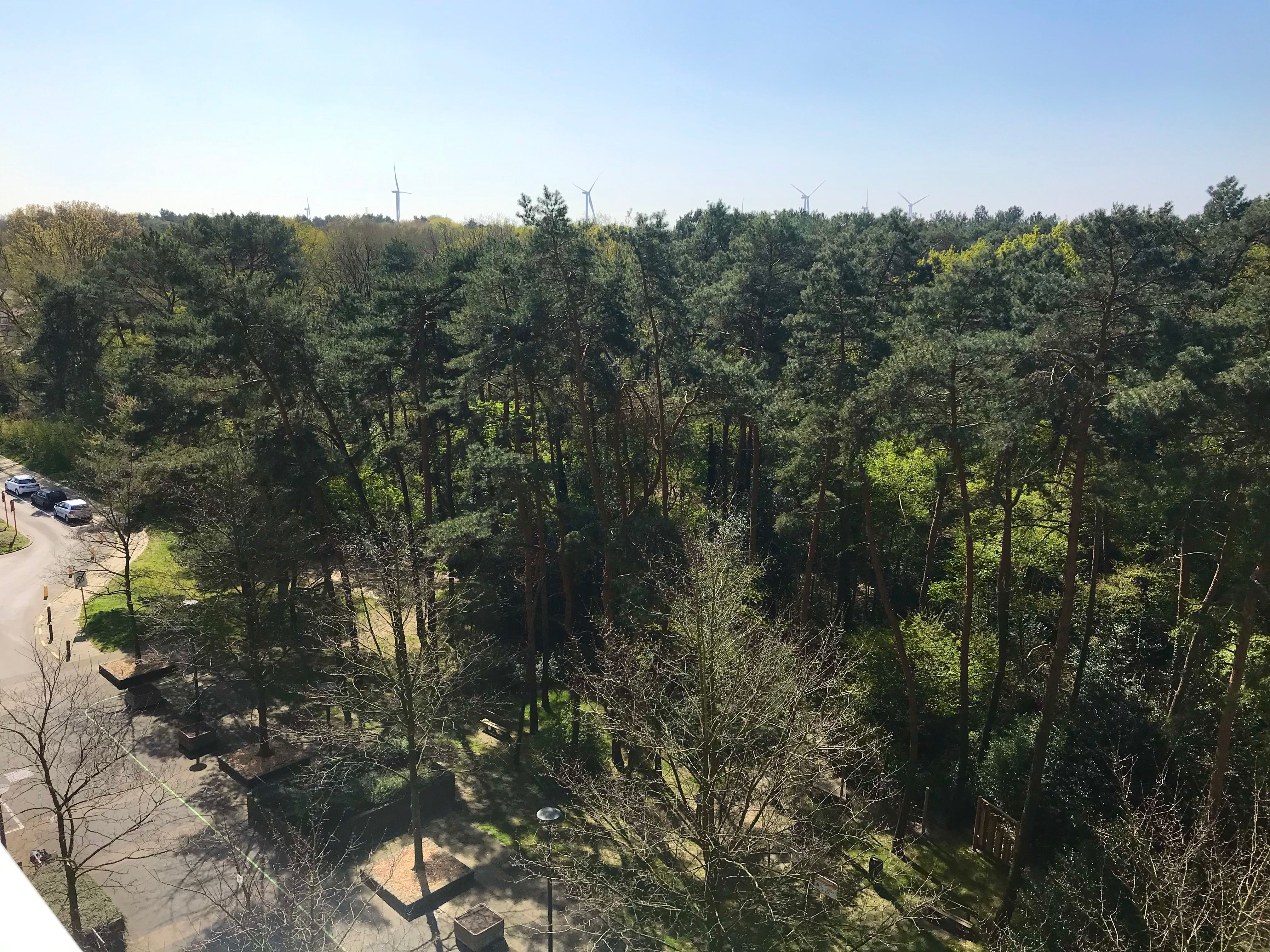Genk, Zonneweeldelaan 21/25. Instapklaar, ruim appartement (100 m2) met 3 slaapkamers, ruim terras en kelderberging. foto 16