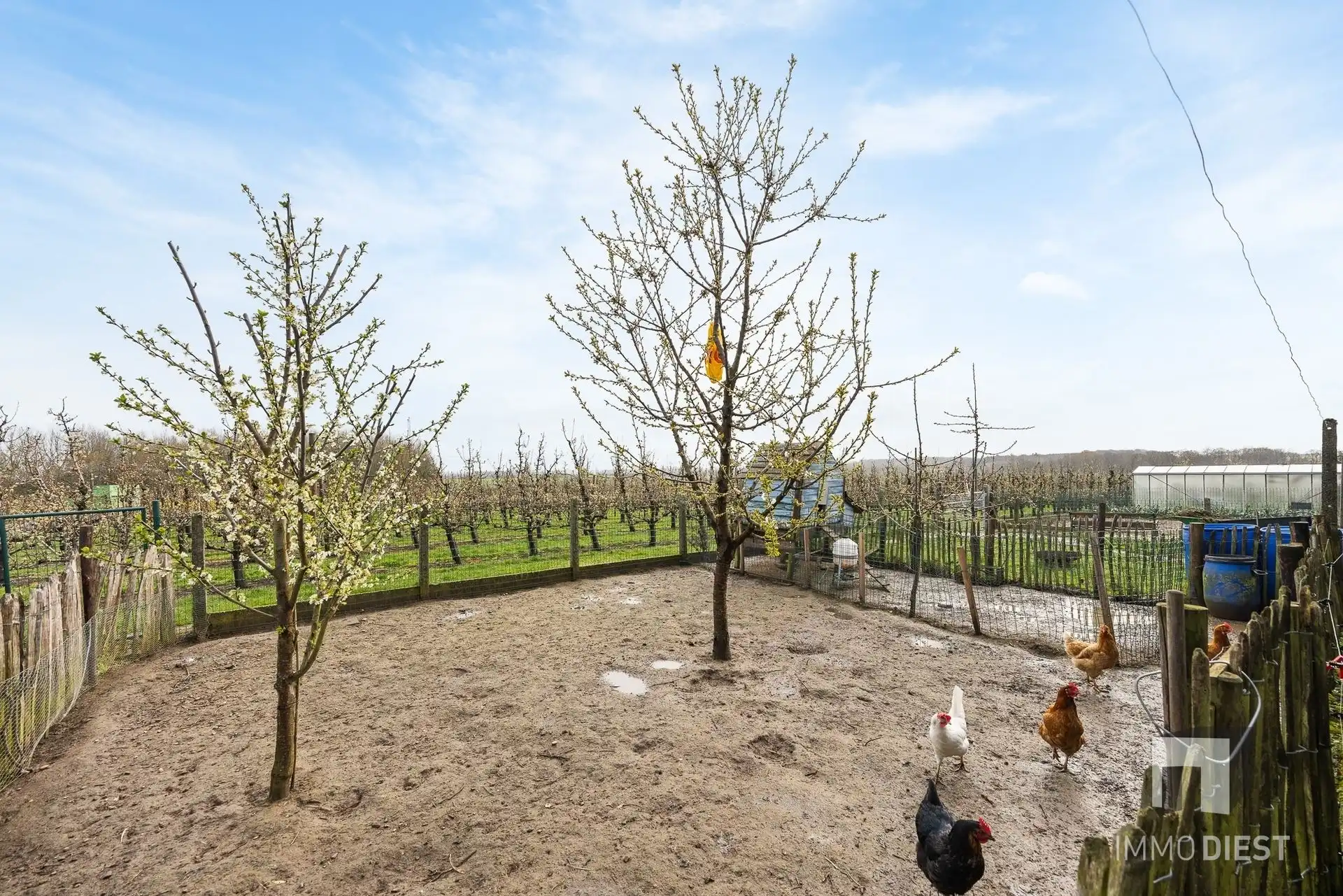 Hagelandse rust en ruimte met potentieel te Loksbergen-Halen foto 27