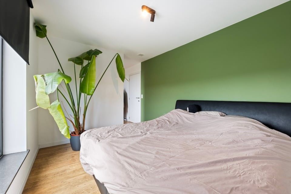 RECENTE GEZINSWONING MET 3 SLAAPKAMERS TE SINT-TRUIDEN foto 28