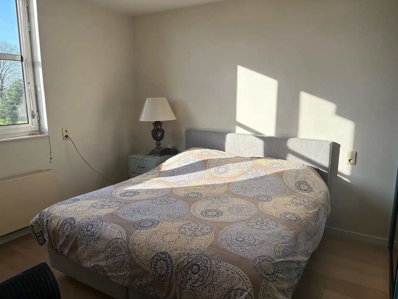 Prachtige villa met zwembad op 1 ha foto 41