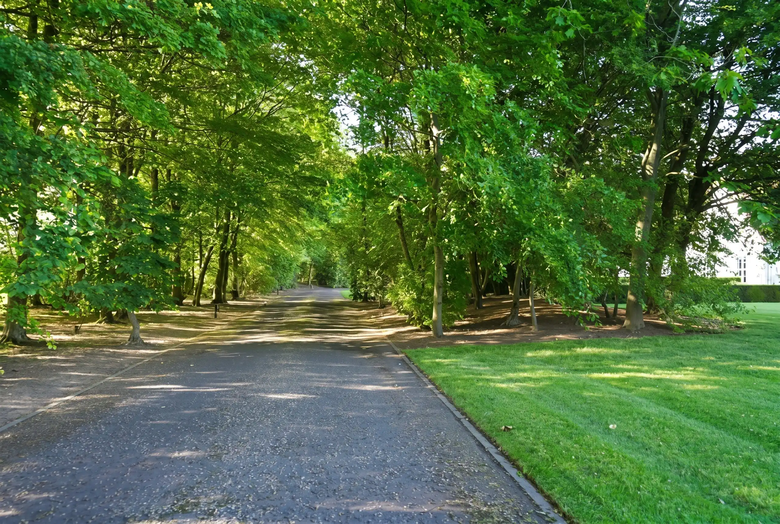 Zeldzaam landhuis op een exclusief domein van 2,4 Ha! foto 4