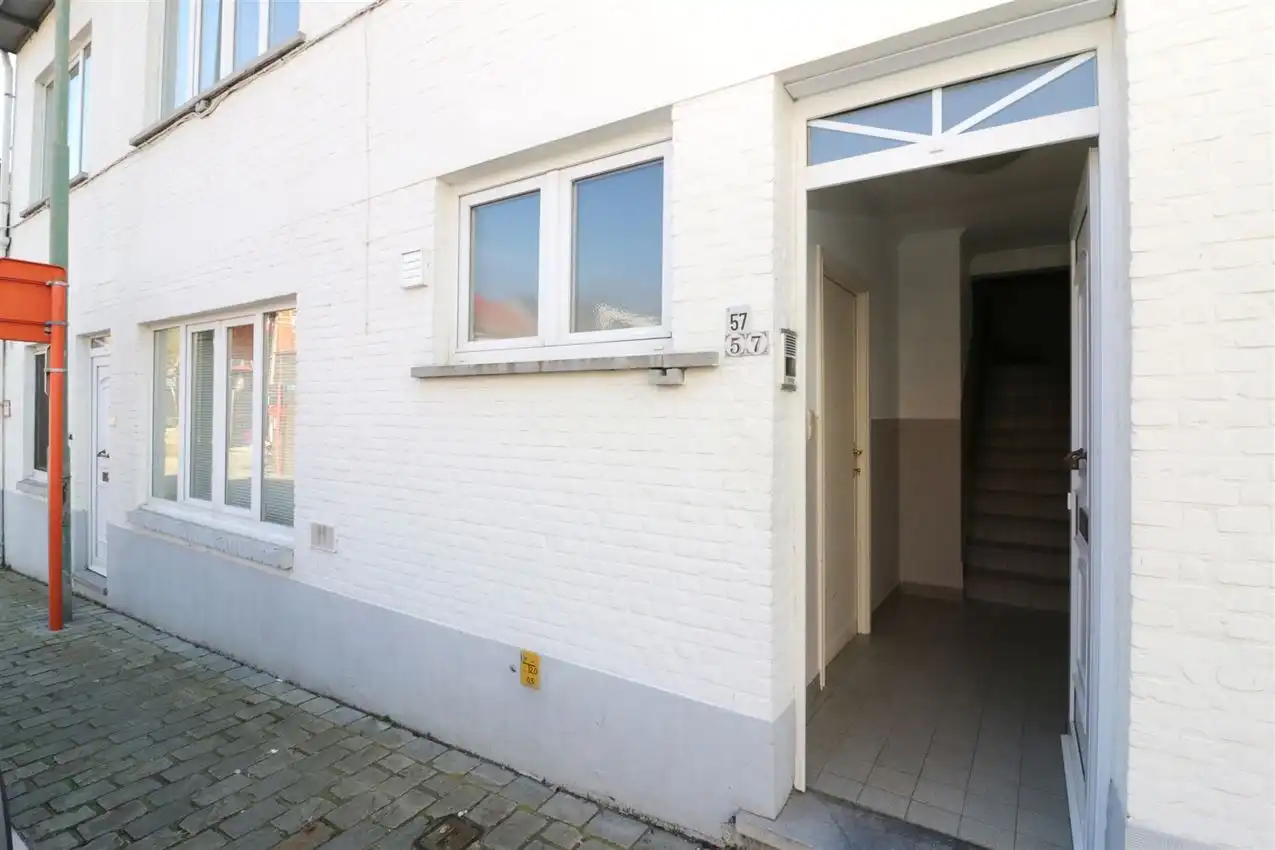 charmant, ruim, mogelijkheid beroep of kangoeroe foto 2