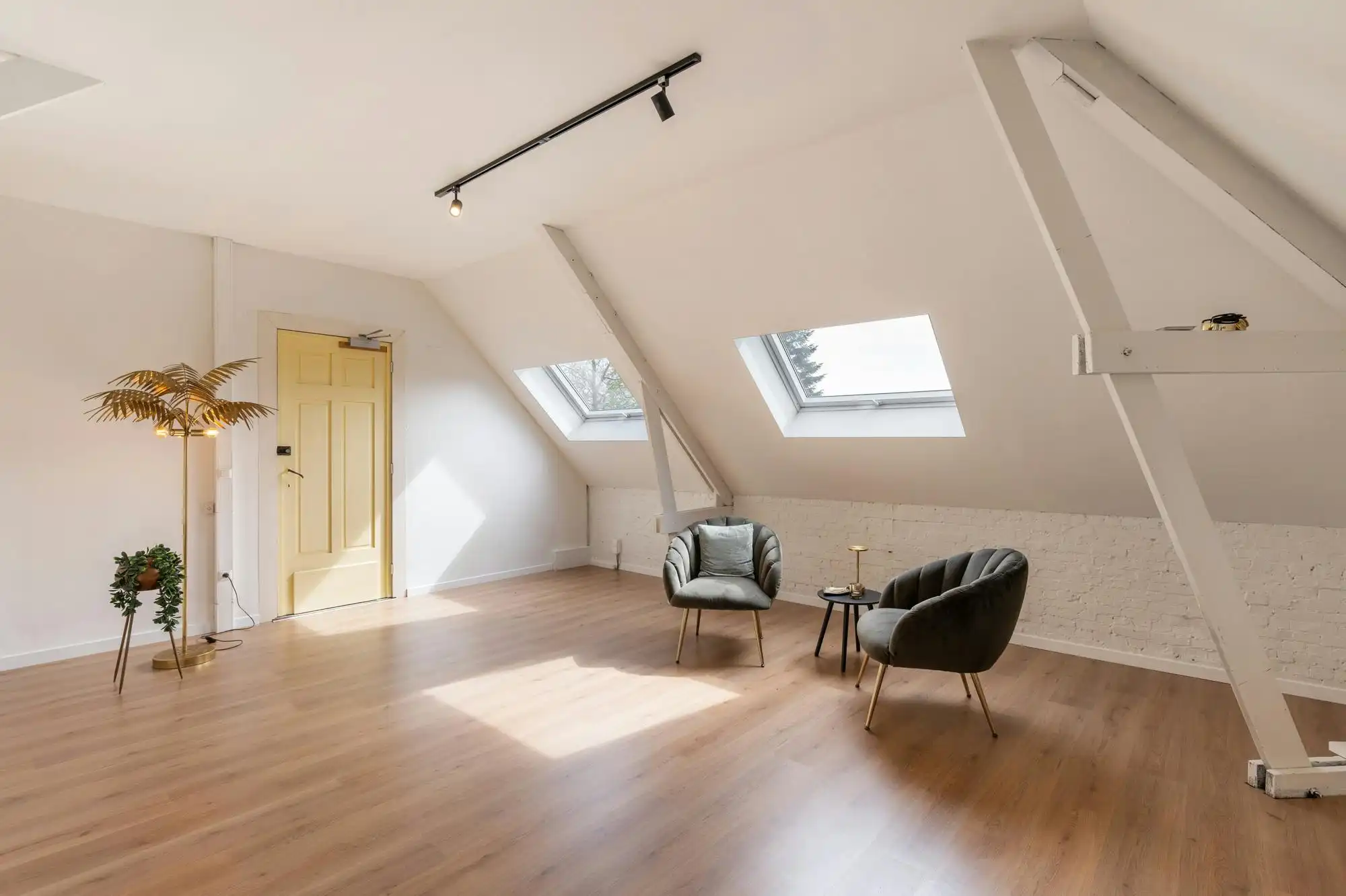 Villa Zwart Goud: iconisch leven in historische grandeur foto 19