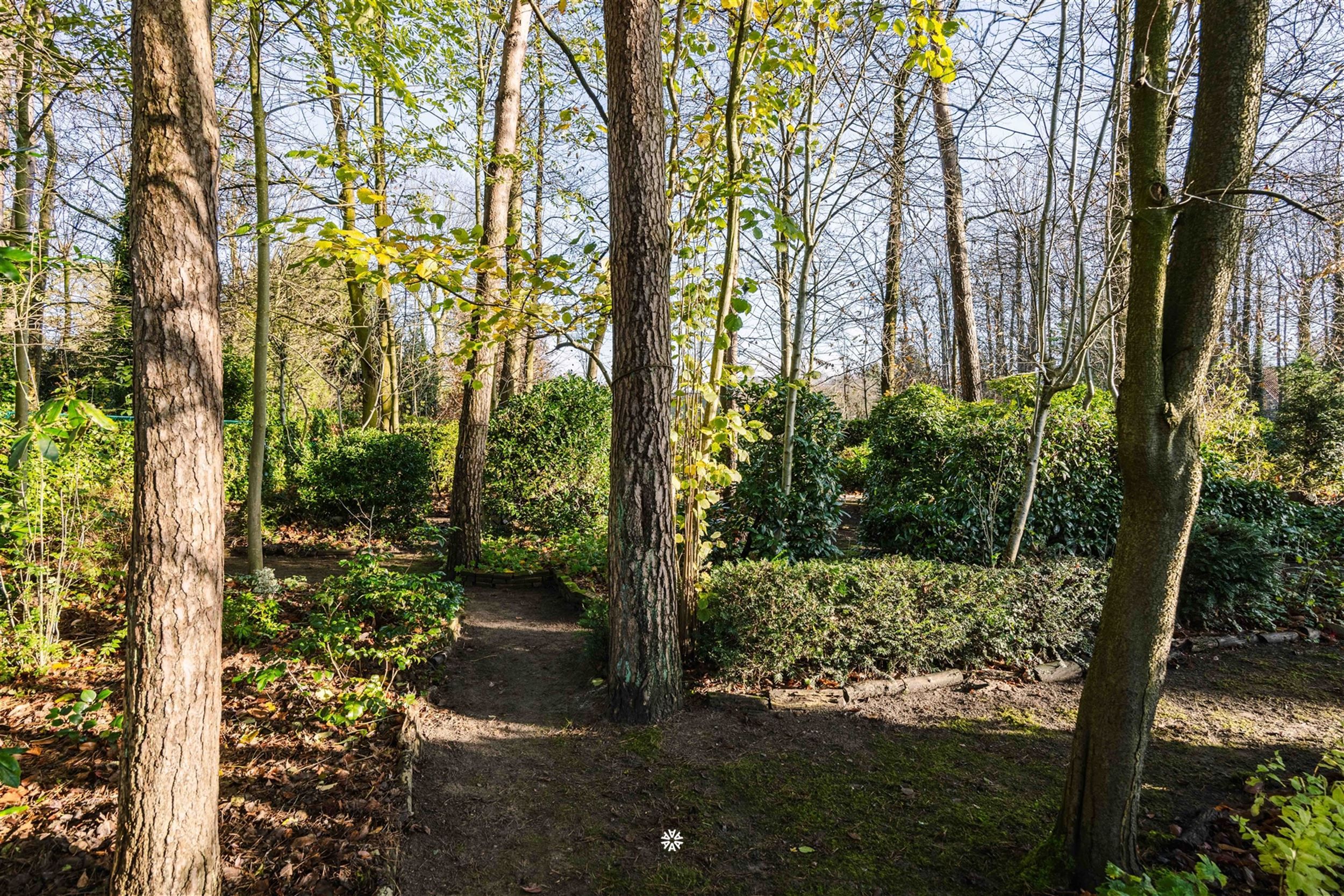 Prachtig gelegen woning op de Heide van Waasmunster foto 26