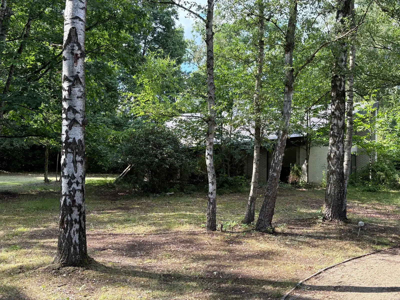 Ruime villa met 5 slaapkamers en veel privacy  foto 3