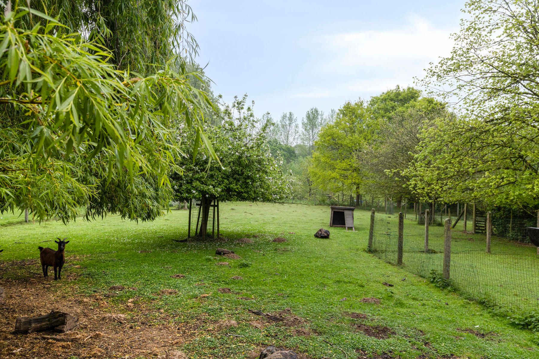 Instapklare villa in doodlopende straat aan natuurgebied! foto 30