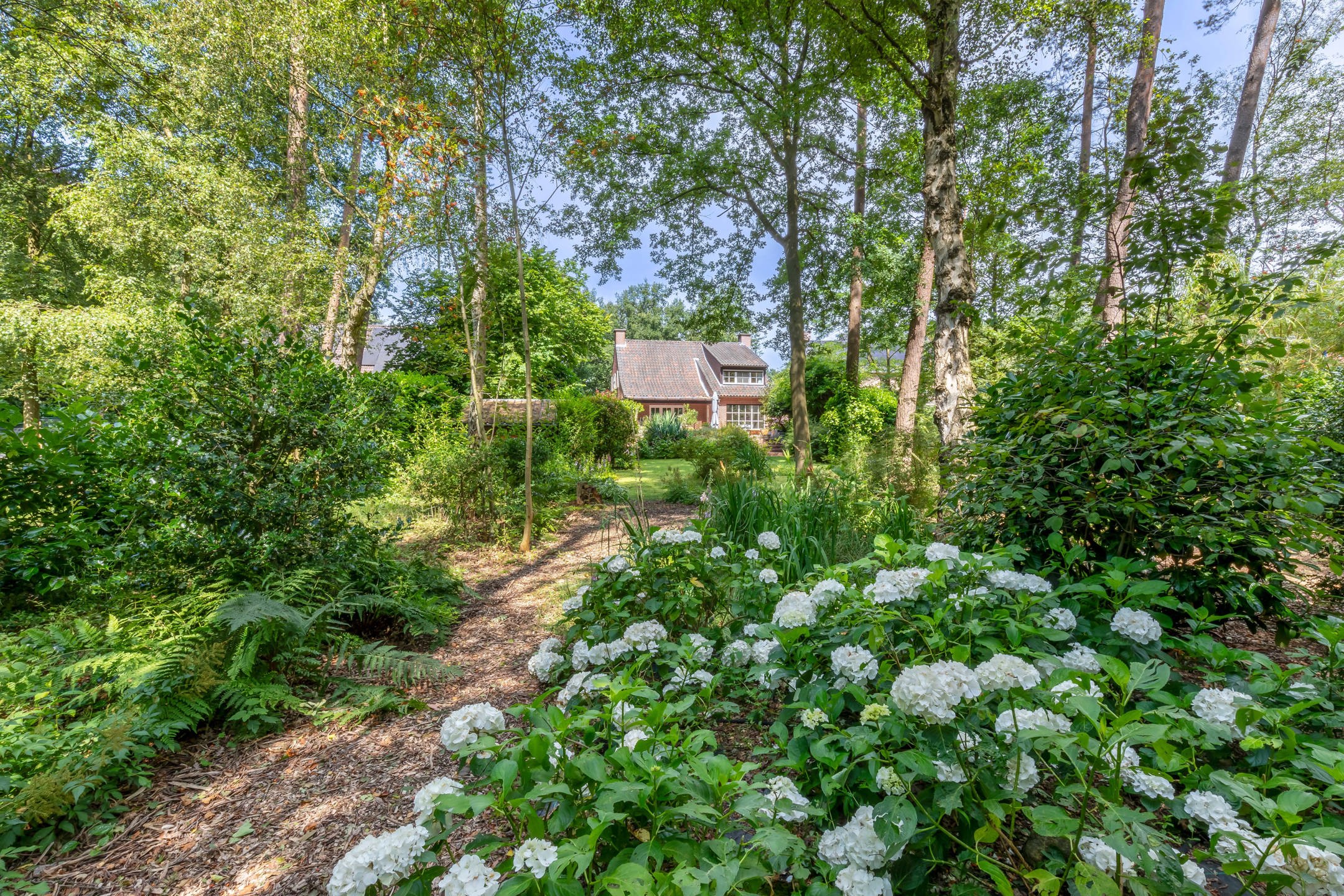 Landhuis op unieke rustige ligging aan rand van Zoerselbos  foto 15