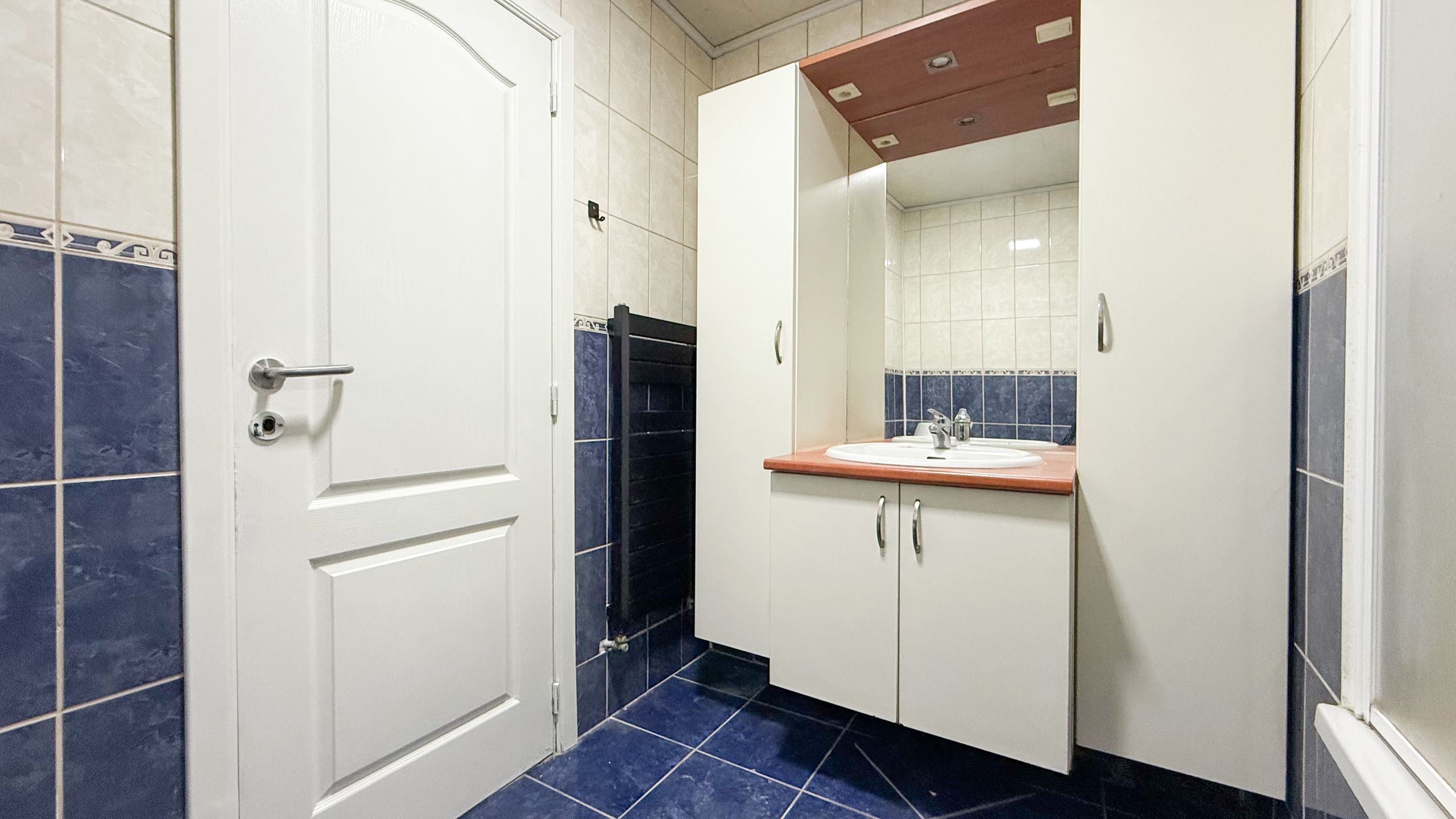 Ruime woning met dubbele garage en ZW gerichte tuin! foto 11