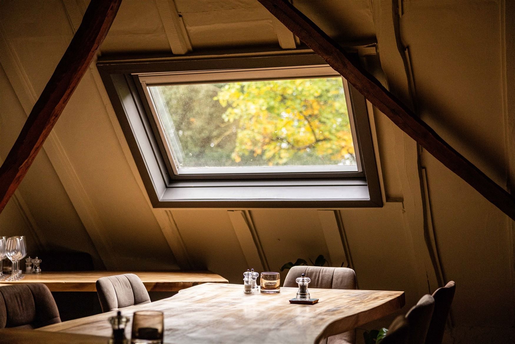 Uniek eigendom te koop: de Zwadderkotmolen. foto 18