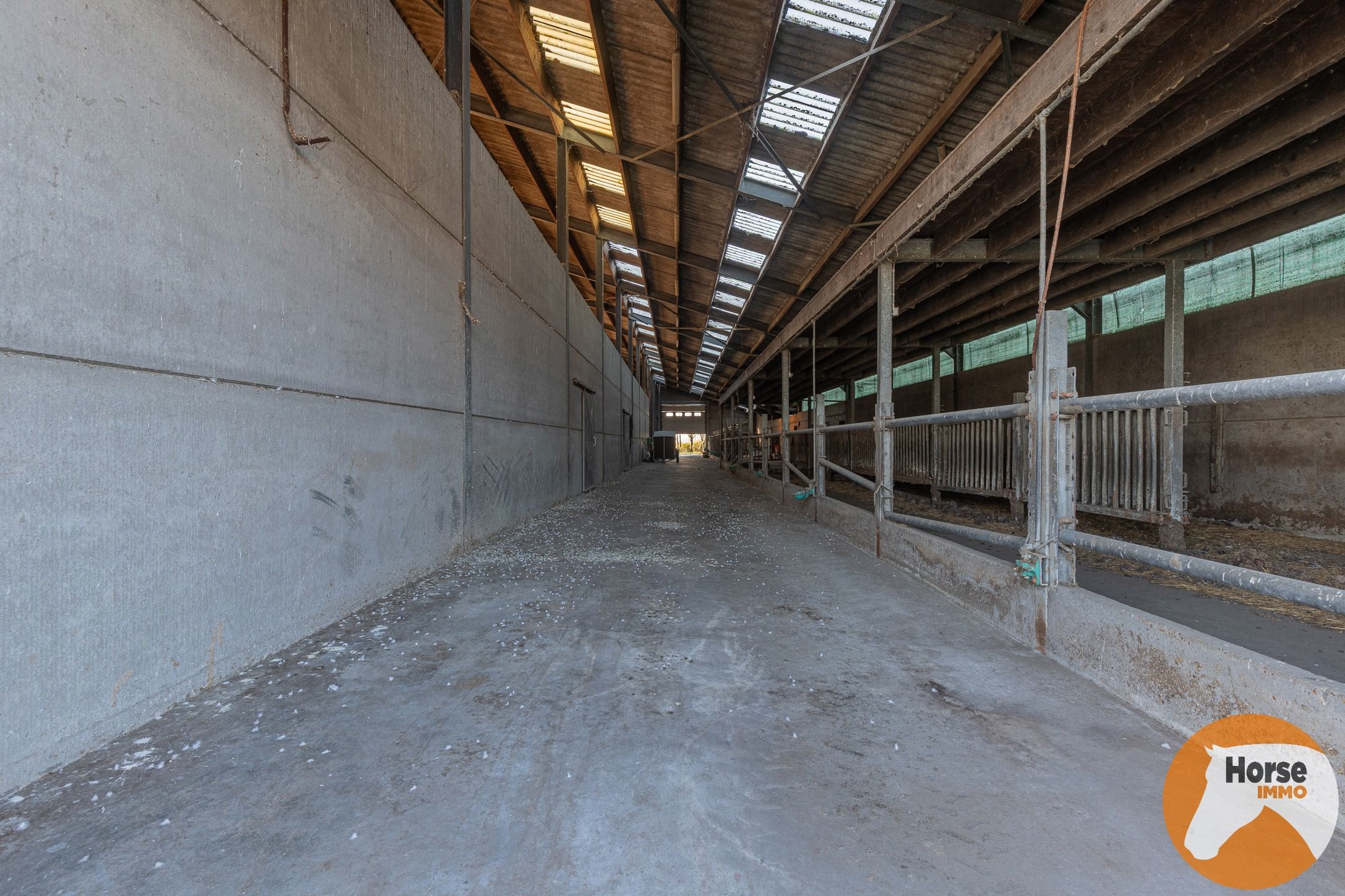 LAARNE- &nbsp;Landbouweigendom met geïntegreerde woning&nbsp; foto 19